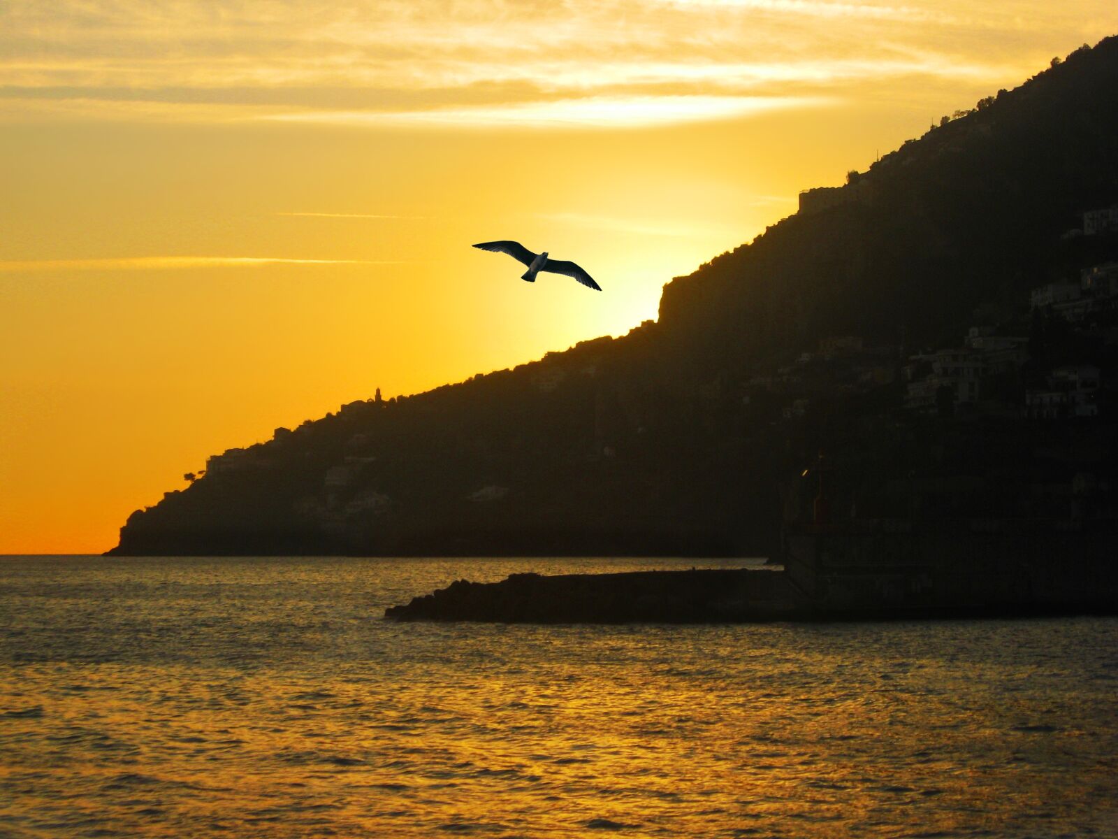 Canon POWERSHOT A550 sample photo. Amalfi, ave, beach, bird photography