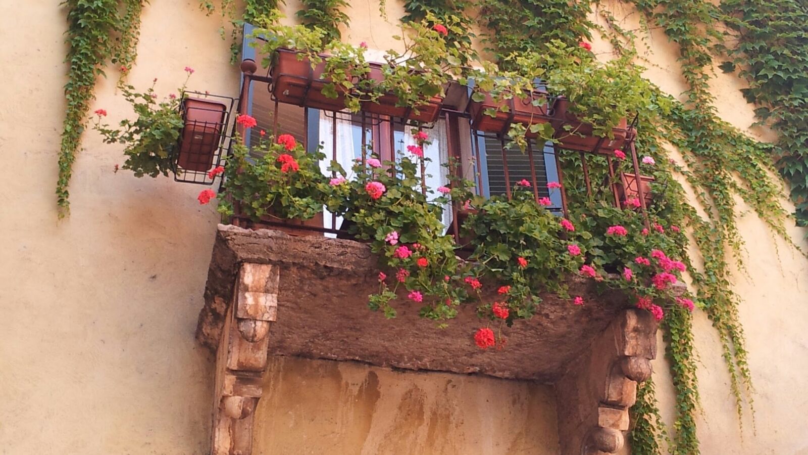 Samsung Galaxy S2 sample photo. Balcony, flowers, colorful photography