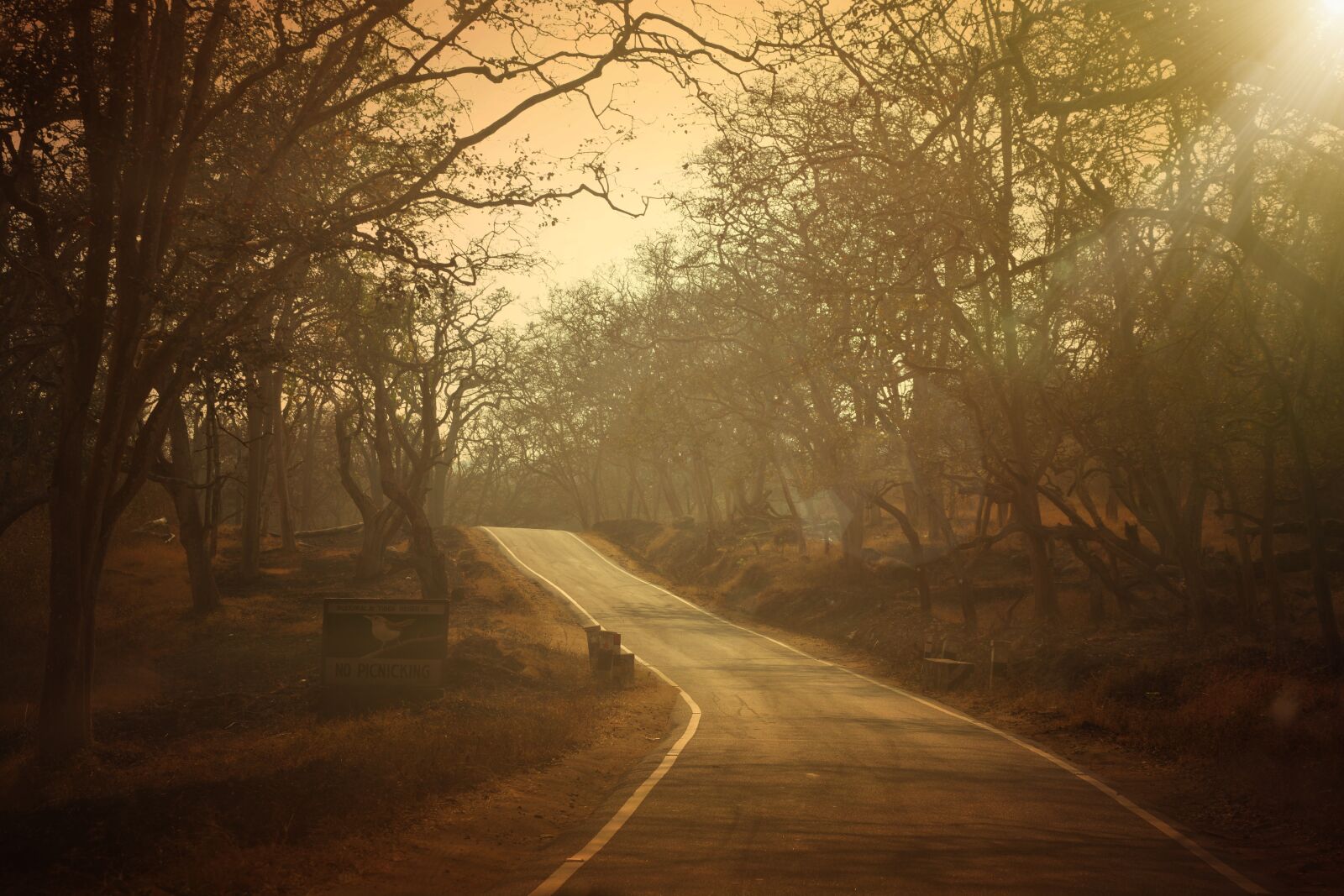 Nikon D5200 sample photo. Tranquil, scenic, golden photography