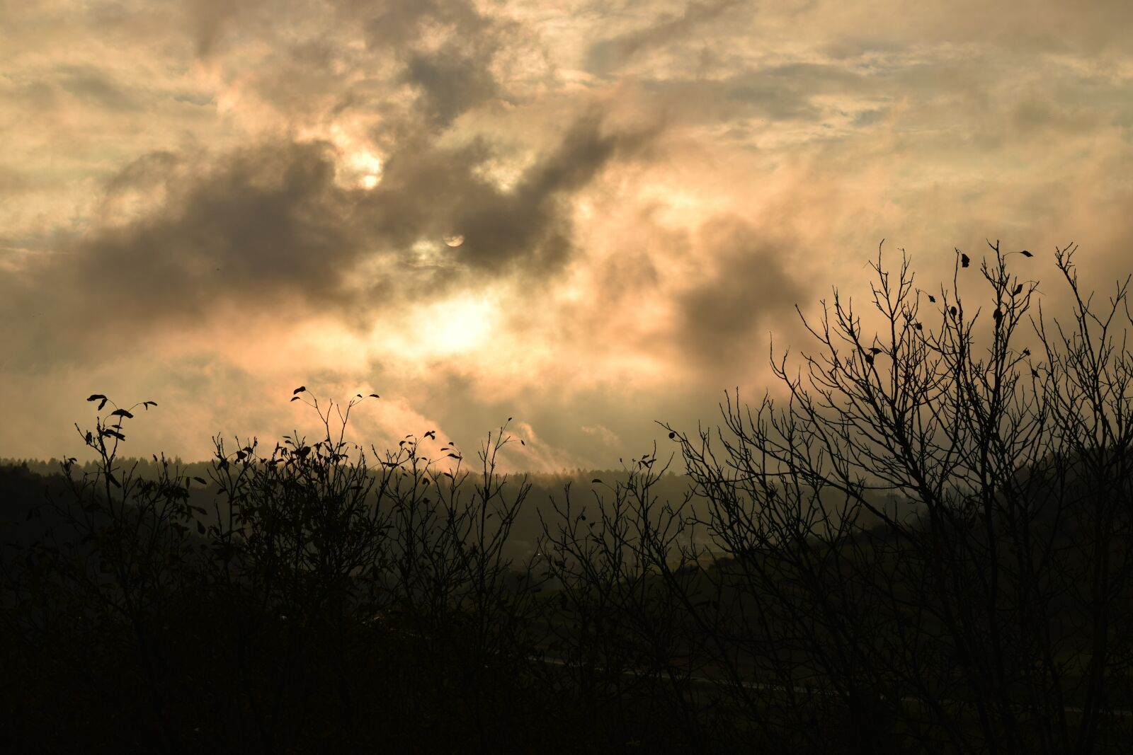Nikon D5300 sample photo. Clouds, gold, sky photography