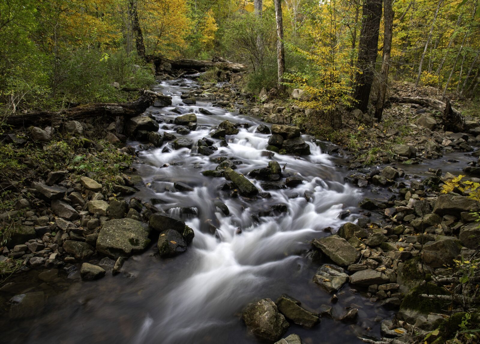 Nikon D750 sample photo. Stream, creek, brook photography