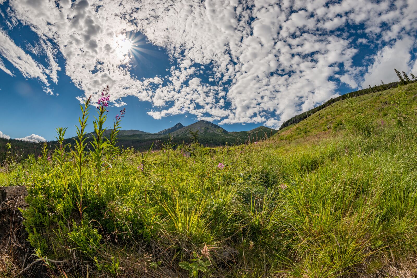 Nikon D800E sample photo. Tatras, mountains, nature photography