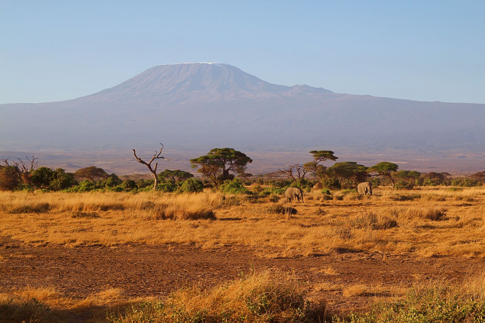 Canon EOS 600D (Rebel EOS T3i / EOS Kiss X5) sample photo. Africa, kilimanjaro, kenya photography