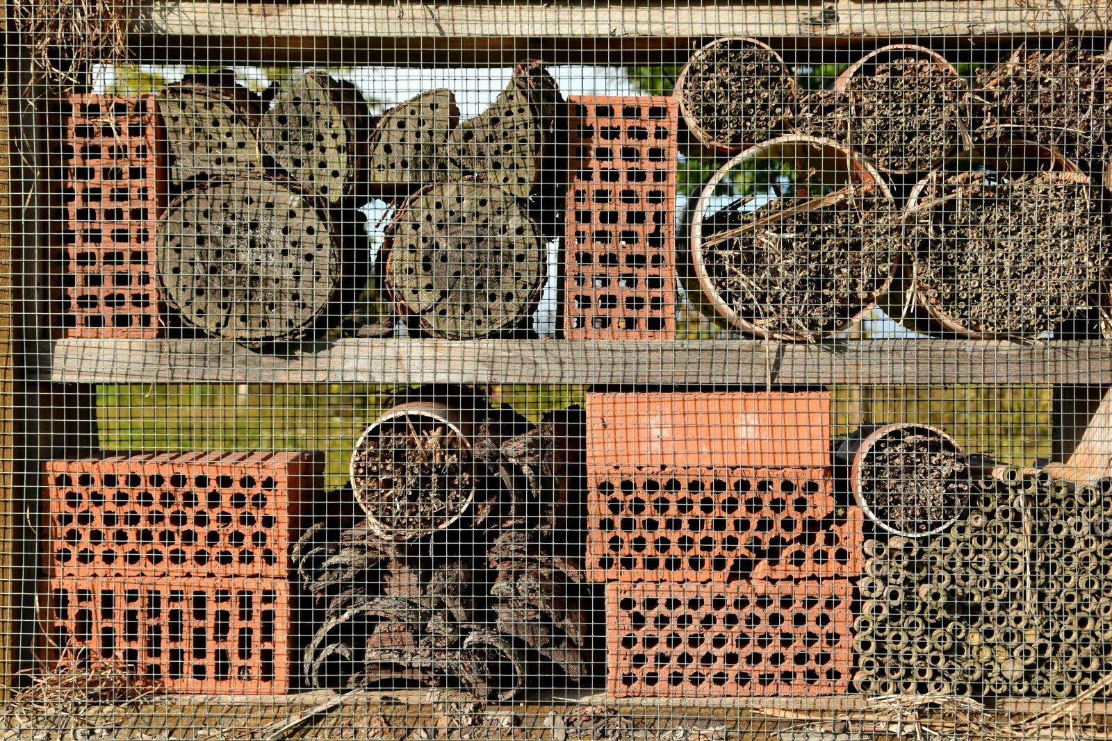 Nikon D3300 sample photo. Cage, brick, wire, wood photography