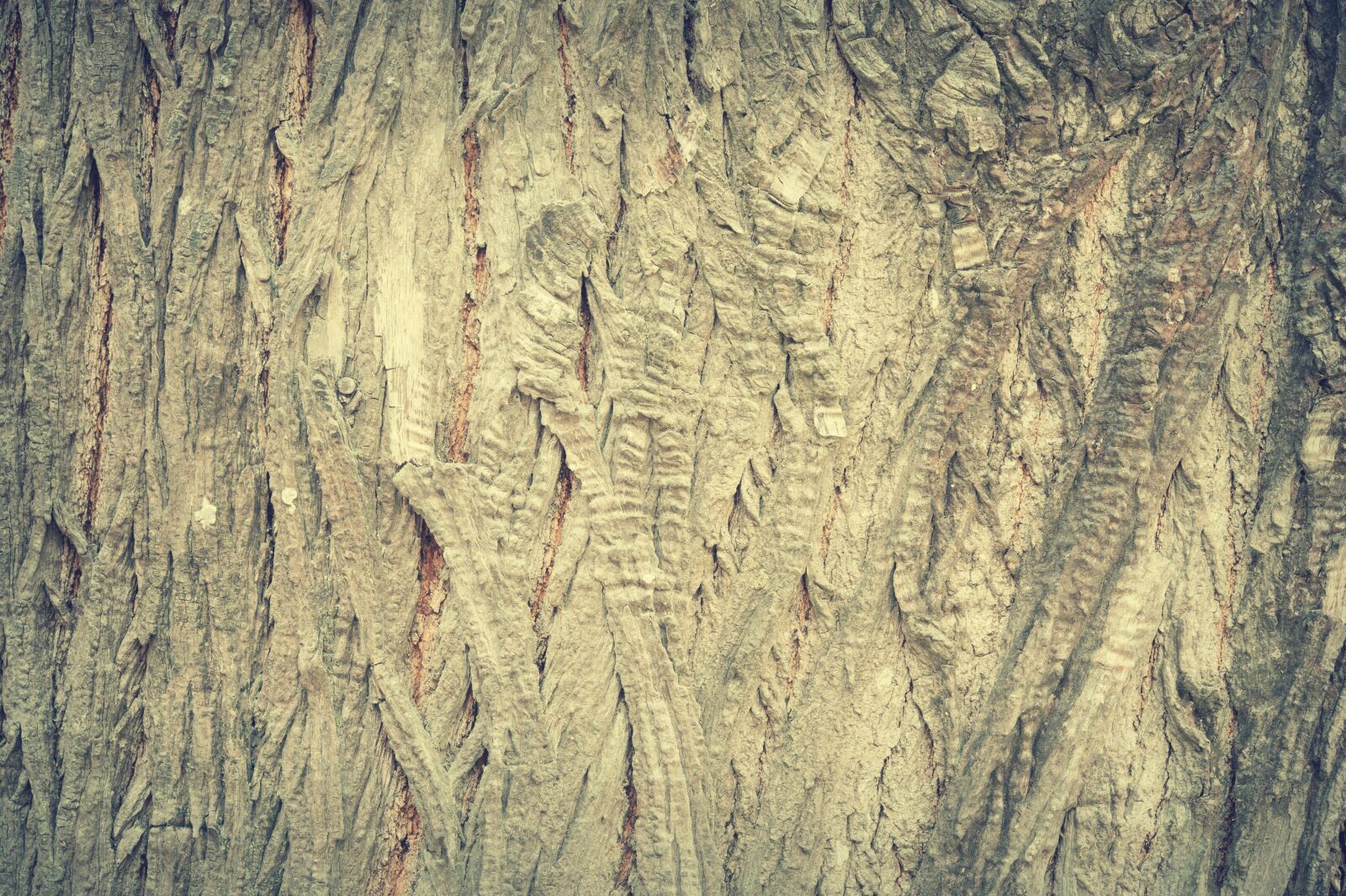 Nikon D700 sample photo. Abstract, antique, backdrop photography