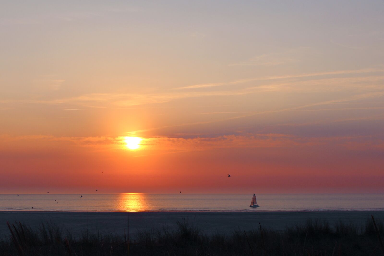Canon EOS 700D (EOS Rebel T5i / EOS Kiss X7i) sample photo. Langeoog, island, east frisia photography