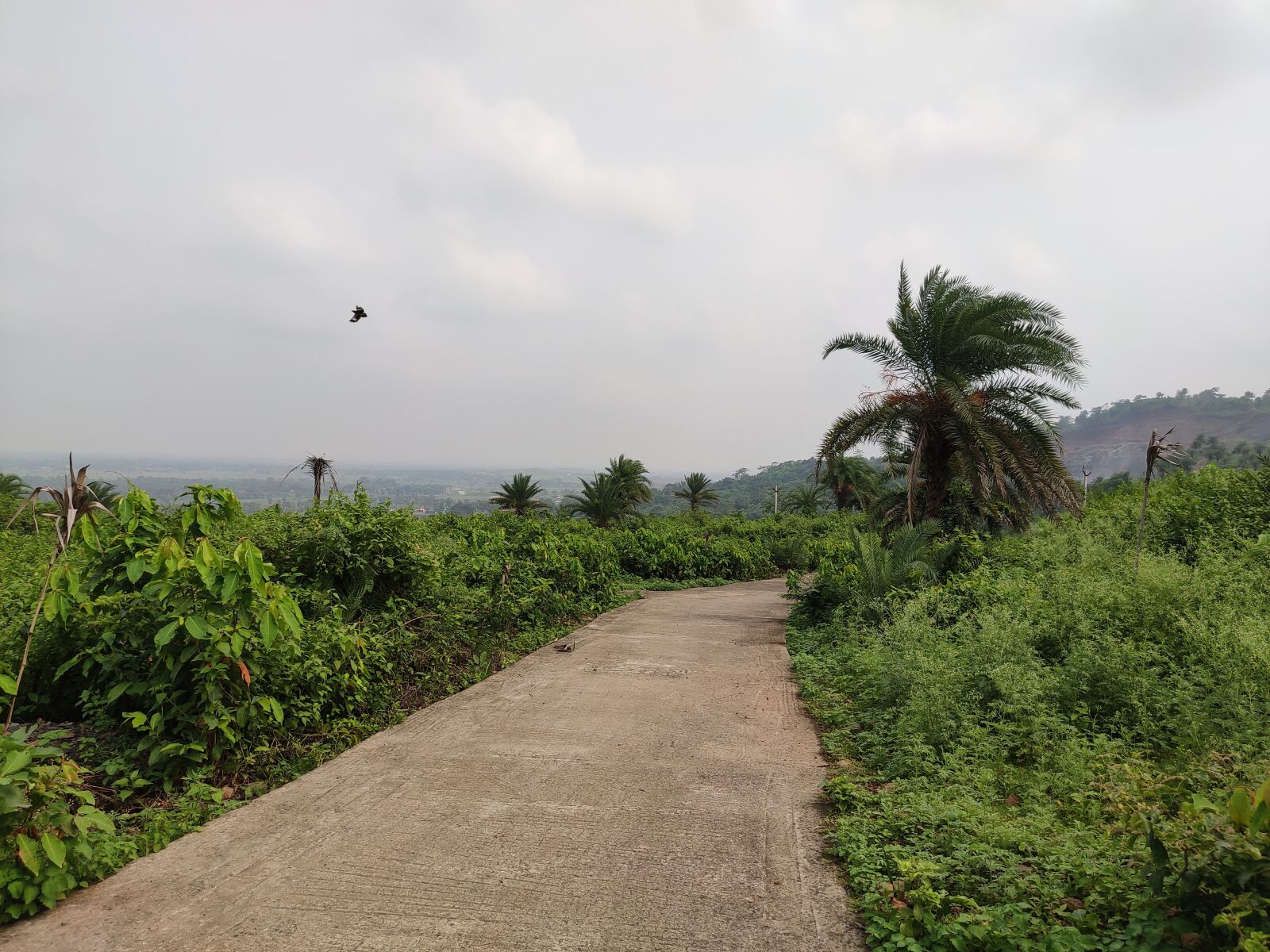 Xiaomi Redmi Note 7 Pro sample photo. Mountains, sky, landscape photography