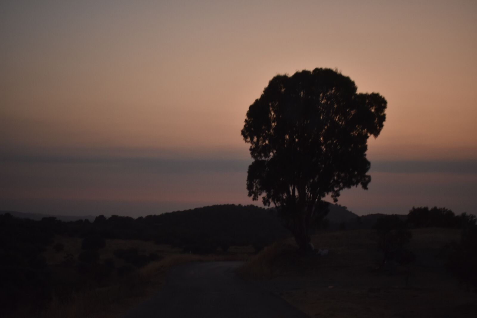 Nikon D3400 sample photo. Tree, sunset, kos photography