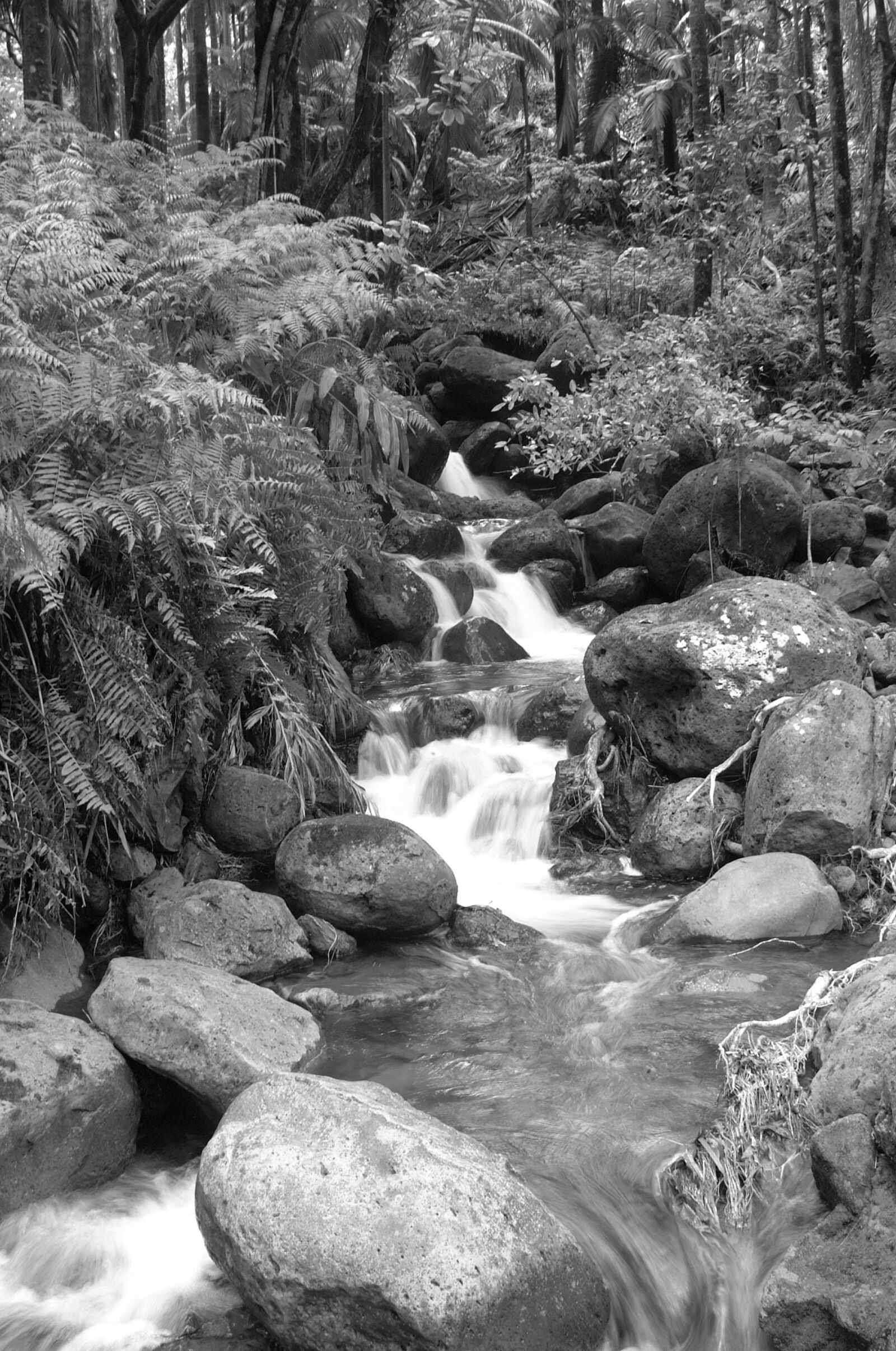 Fujifilm FinePix S1 Pro sample photo. Black, and, white, waterfall photography