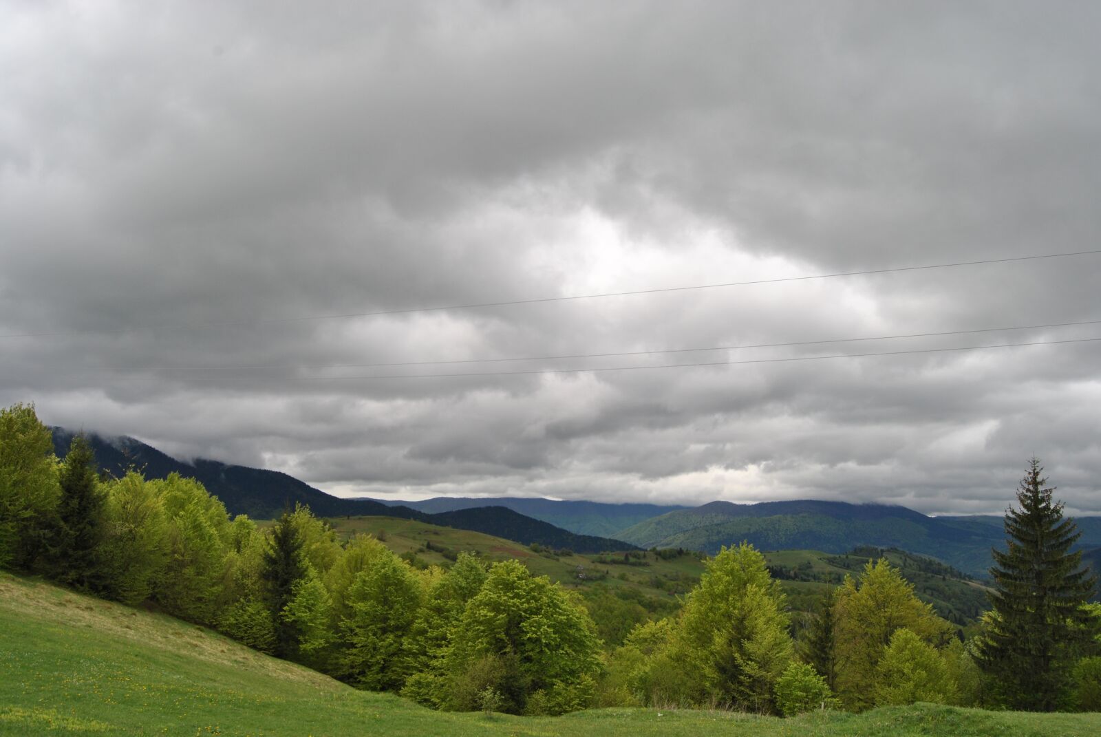 Nikon D3000 sample photo. Nature, ukraine, sky photography