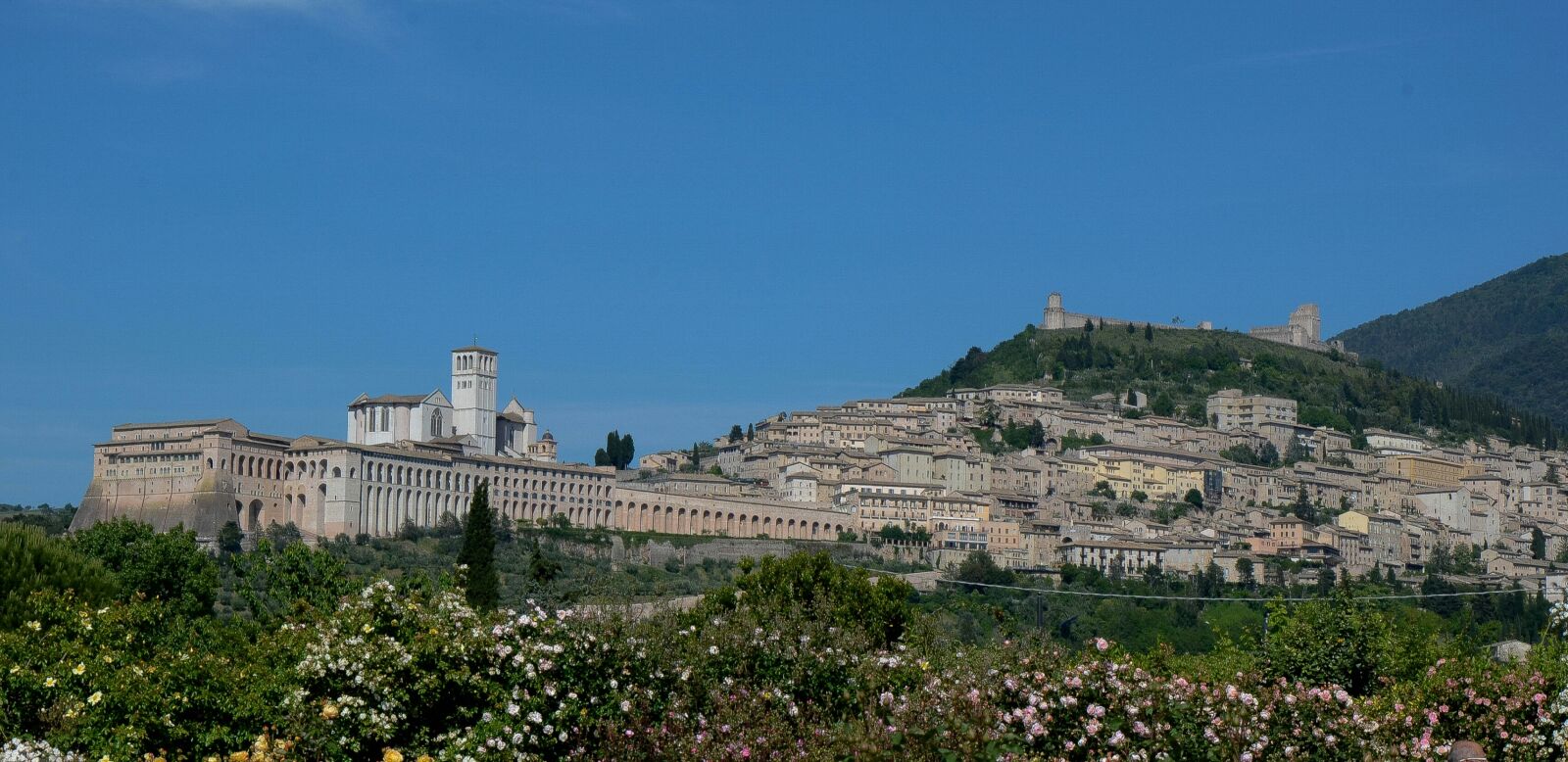 Nikon D7000 sample photo. Assisi, click, may 2016 photography