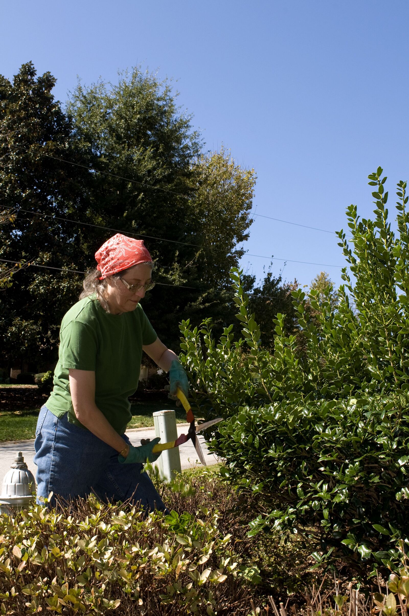 Nikon D300 sample photo. Woman, working, cutting, grass photography