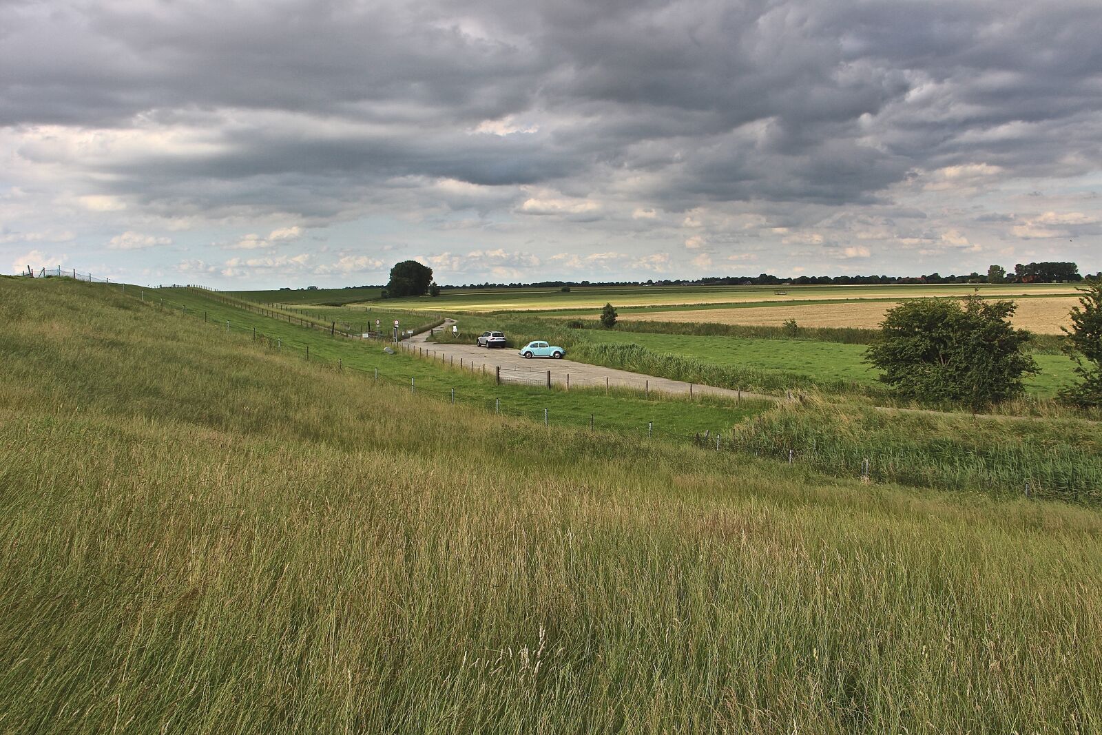 Canon EOS 700D (EOS Rebel T5i / EOS Kiss X7i) sample photo. Field, grasses, nature photography
