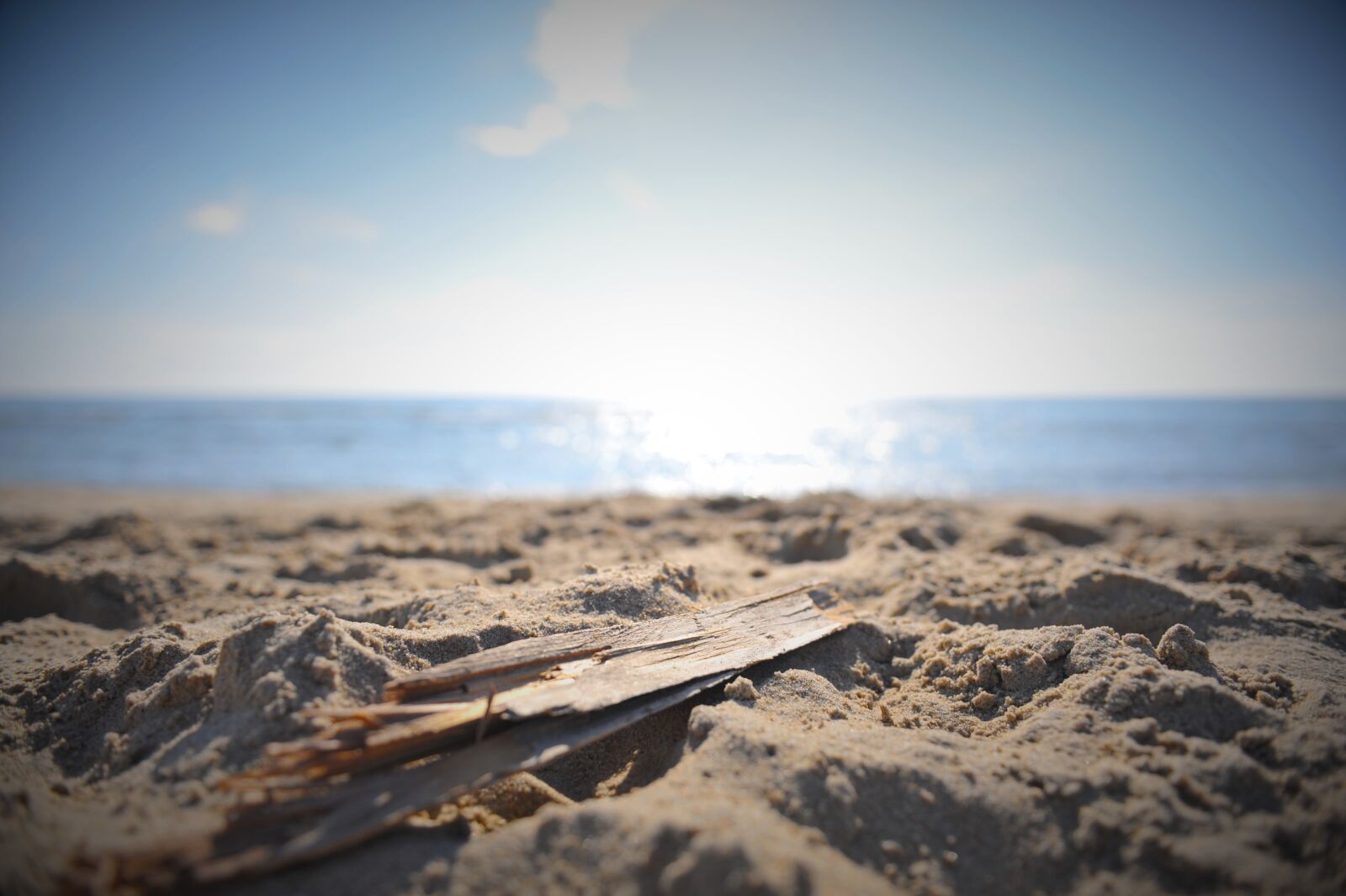 Nikon D700 sample photo. Beach, wood, sea photography