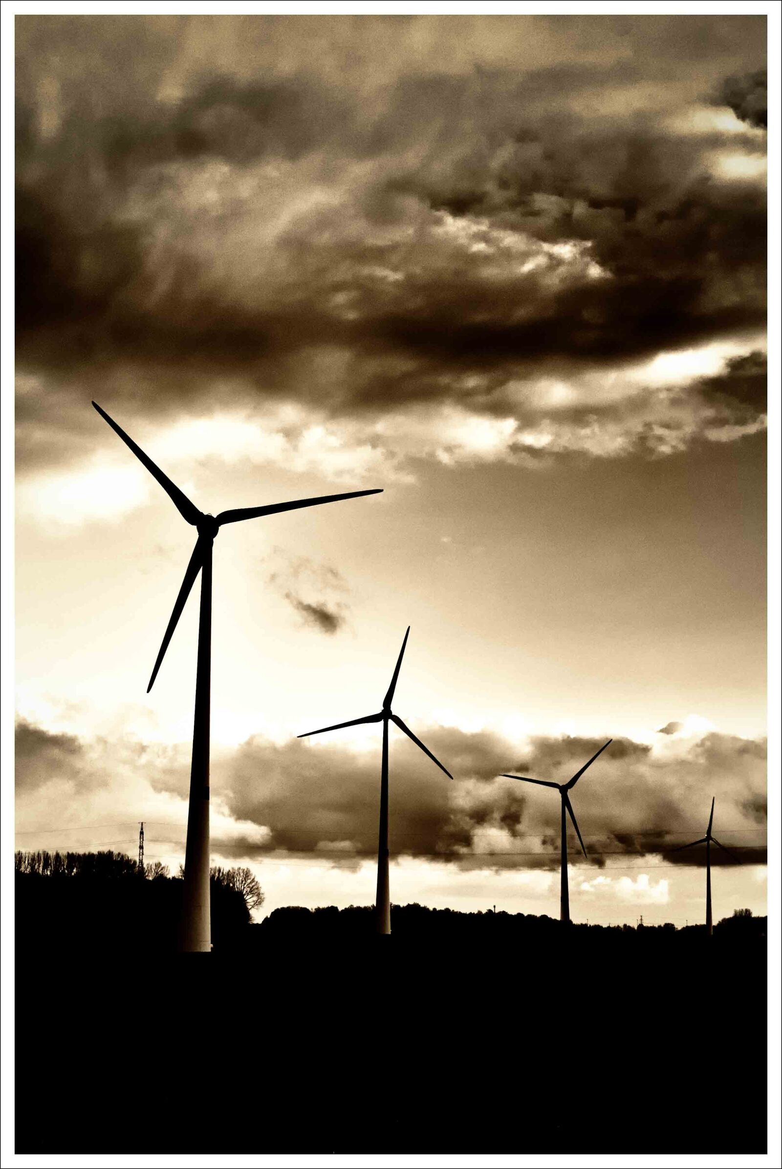 Nikon D200 sample photo. Wind turbines, black and photography