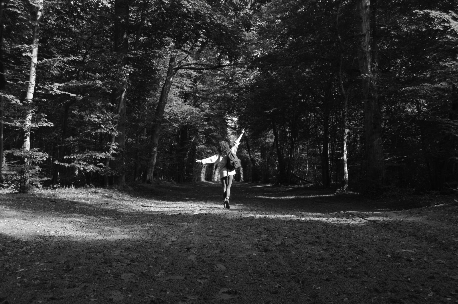 Nikon D3200 sample photo. Forest, black and white photography
