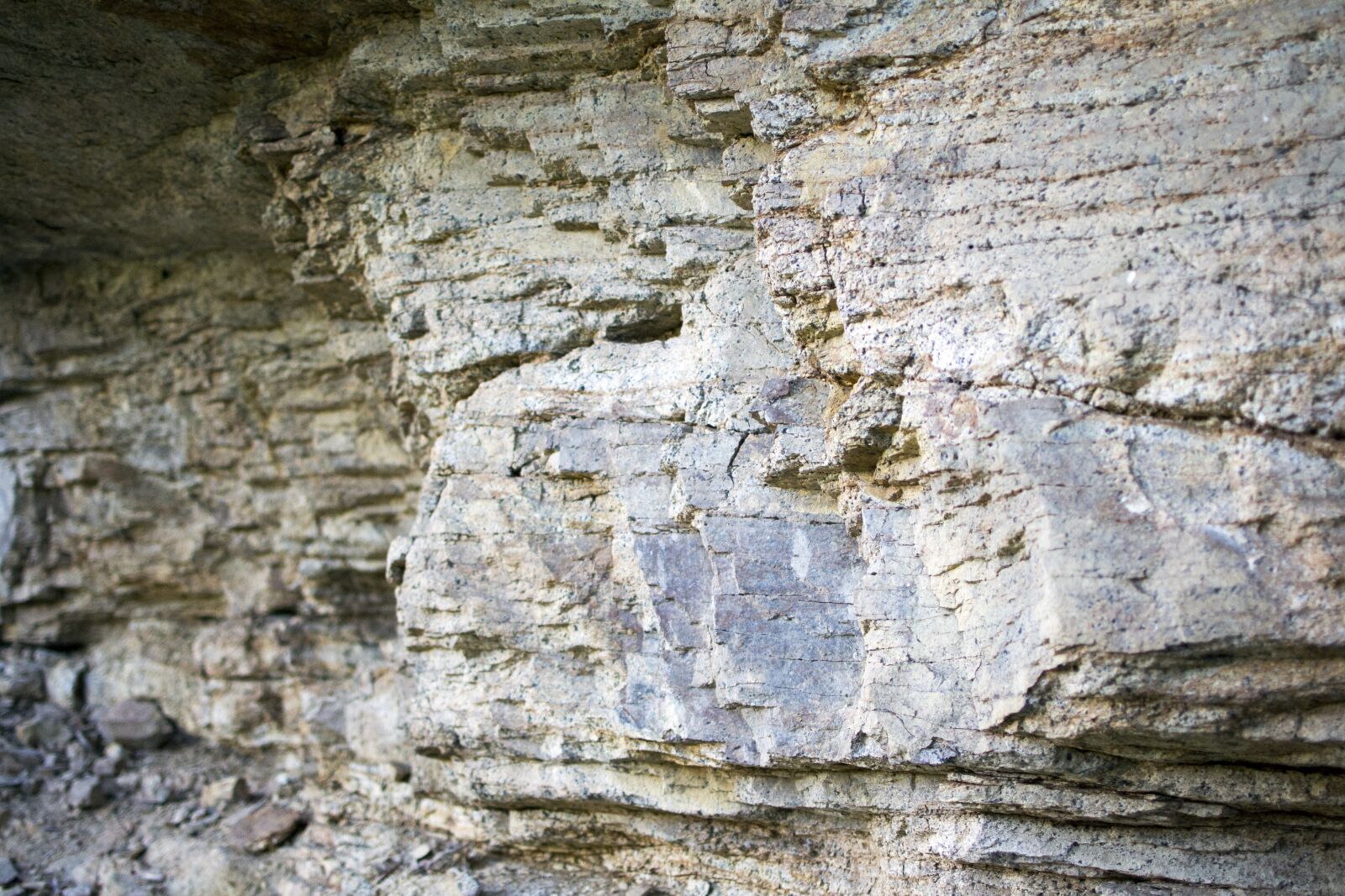 Nikon D3100 sample photo. Rock, texture, grunge photography