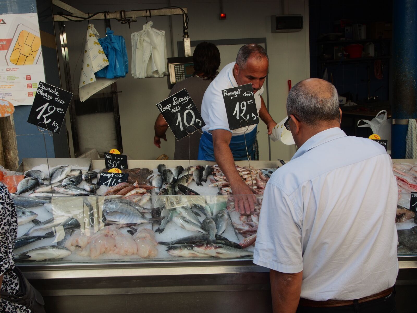 Olympus OM-D E-M5 sample photo. Market, fish, fish market photography