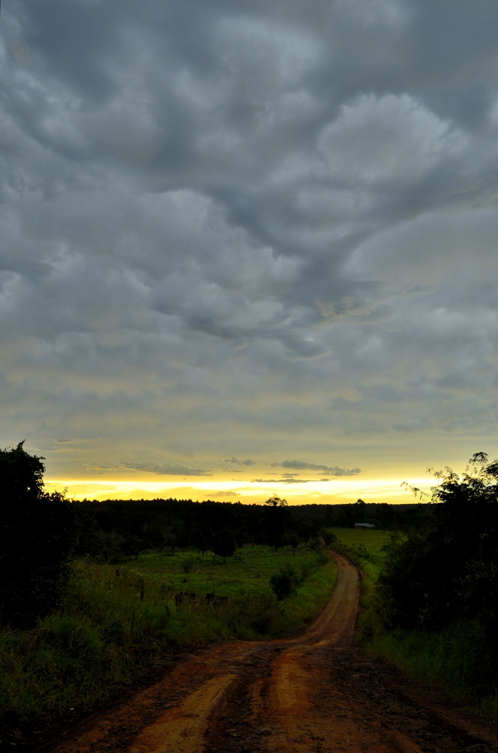 Nikon D5100 sample photo