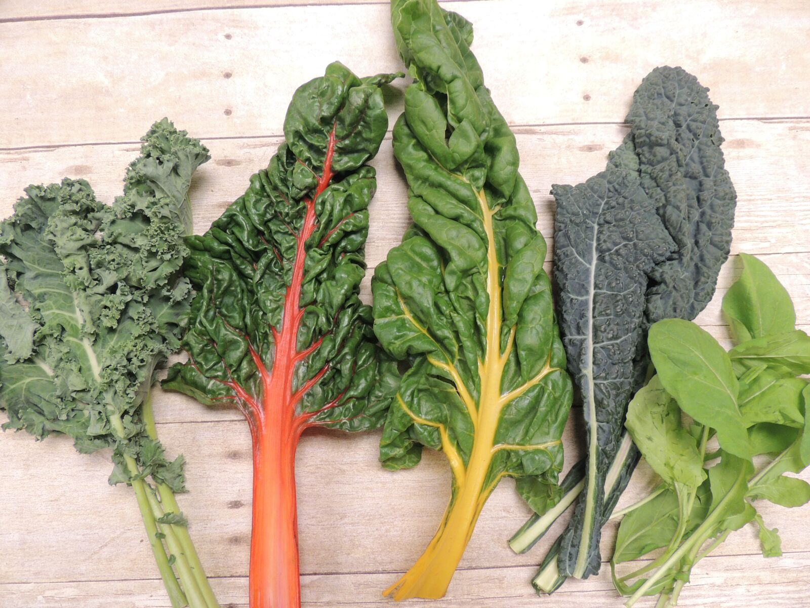 Nikon Coolpix P510 sample photo. Kale, swiss chard, arugula photography