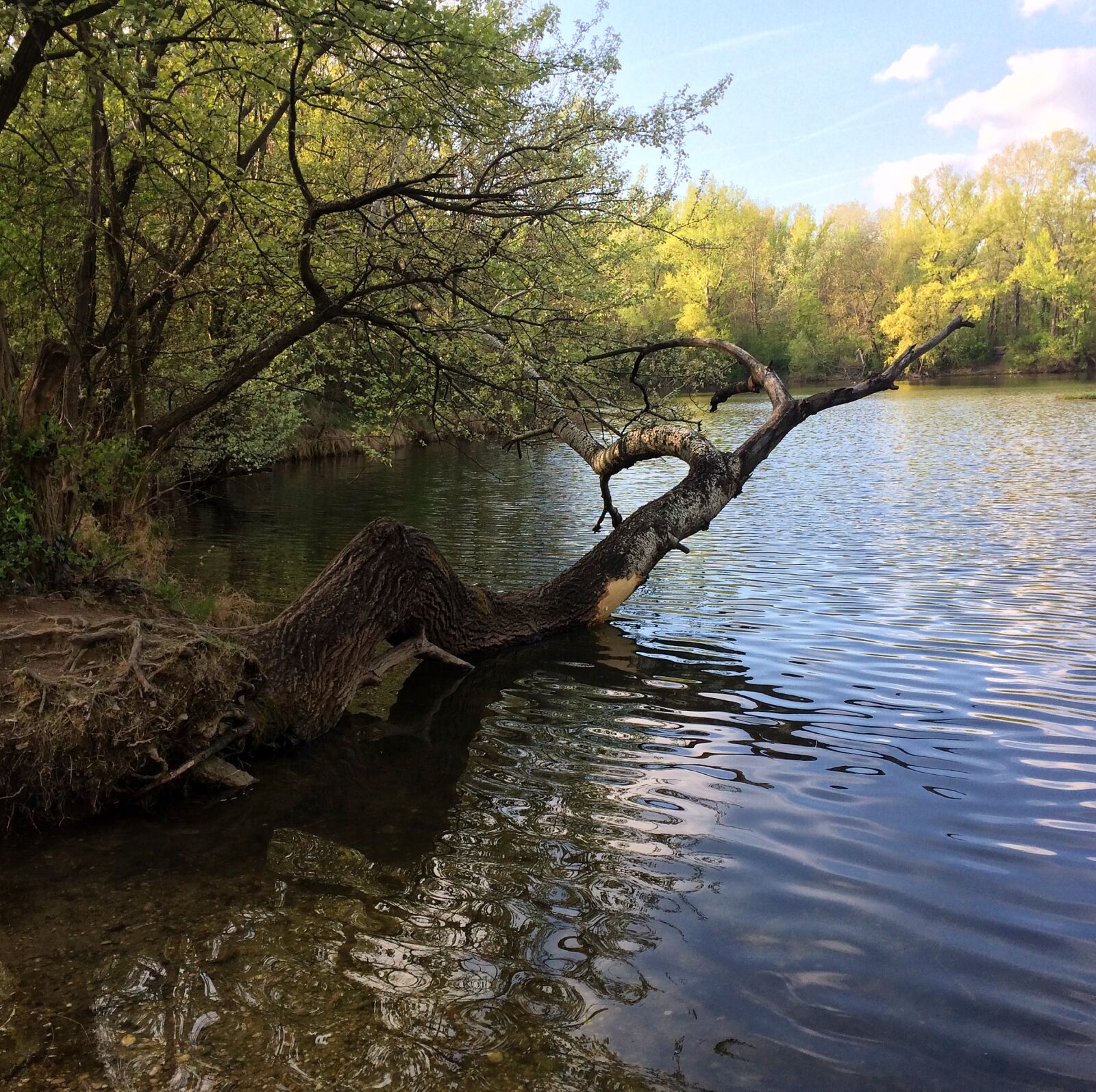 iPhone 5s back camera 4.15mm f/2.2 sample photo. Blue, sky, bratislava, clear photography