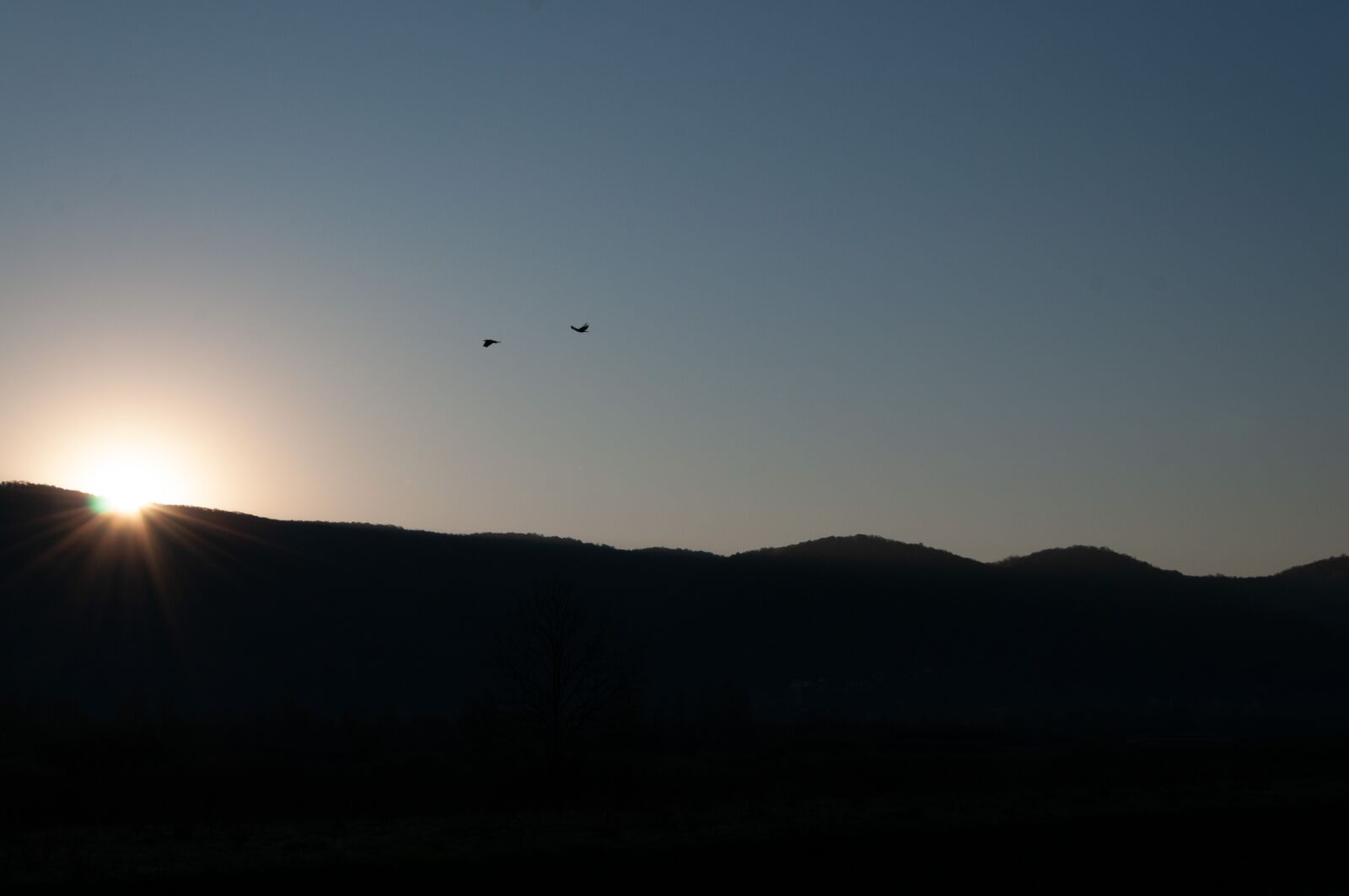 Nikon D90 sample photo. Sunrise, mountain, nature photography