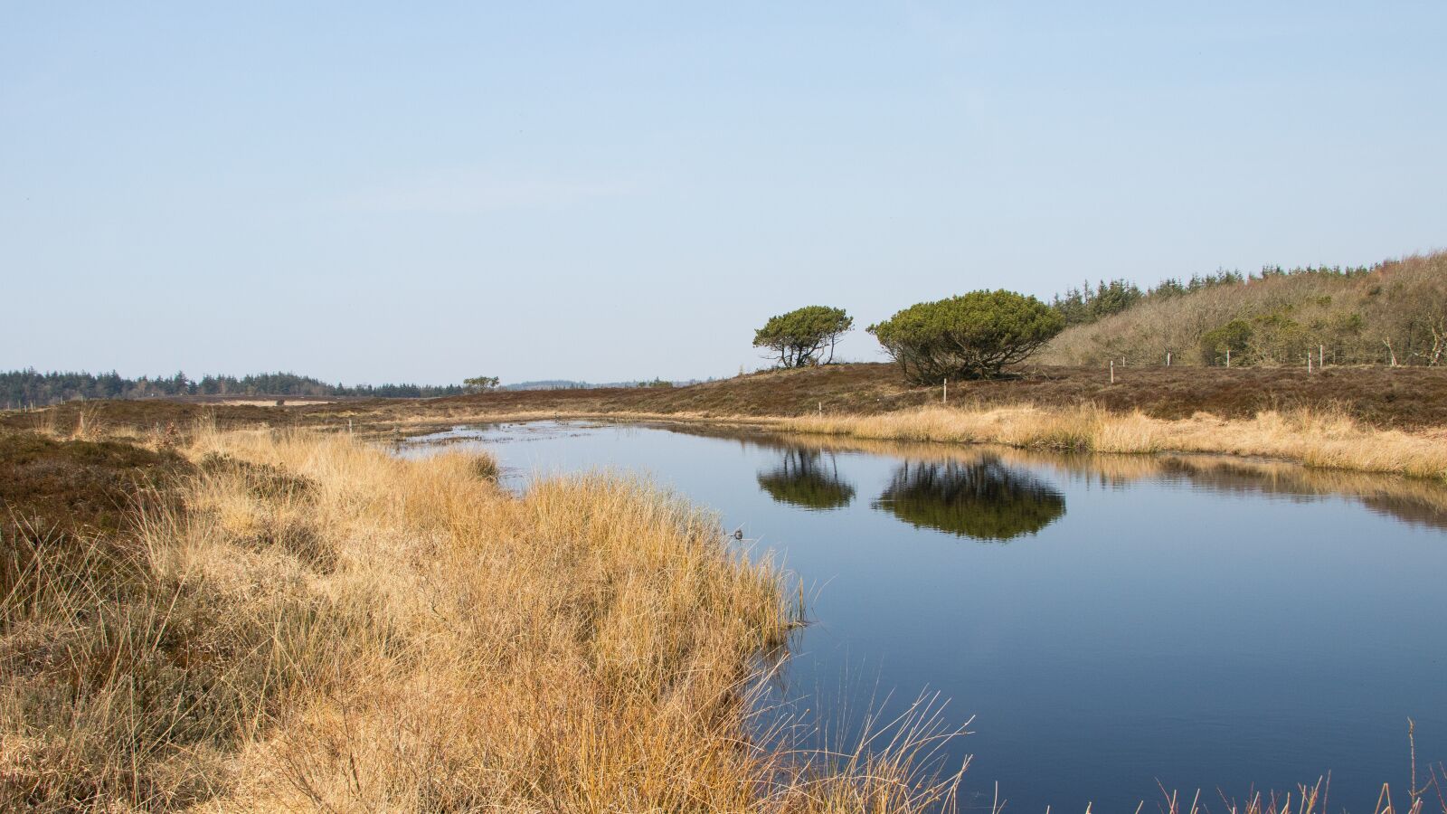 Canon EF-S 18-135mm F3.5-5.6 IS USM sample photo. Landscape, lake, heath trees photography