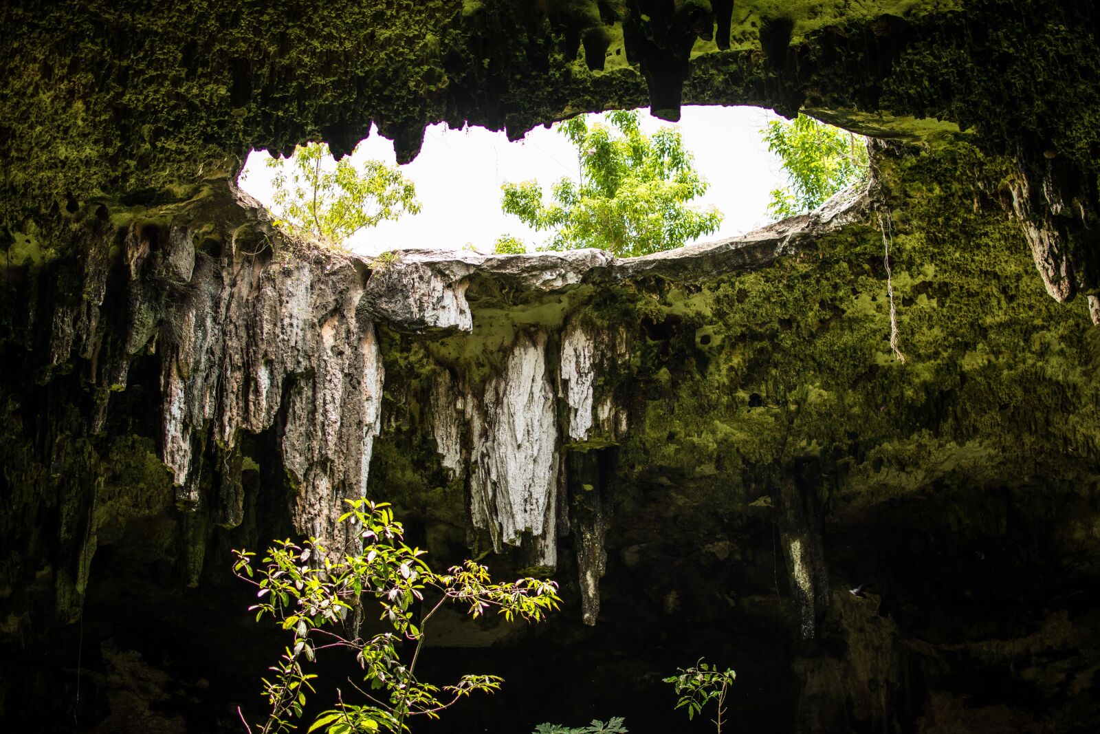 Nikon D5500 sample photo. Hole, cenote, cave photography