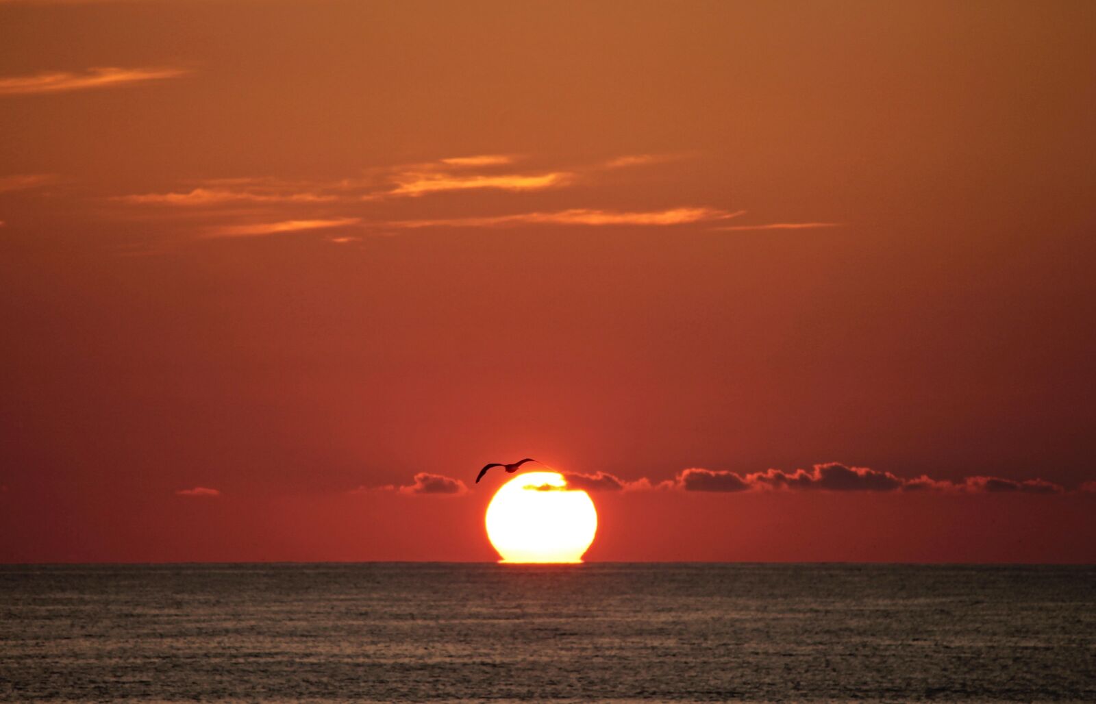 Canon EOS 1100D (EOS Rebel T3 / EOS Kiss X50) sample photo. Sunset, sea, immersion photography