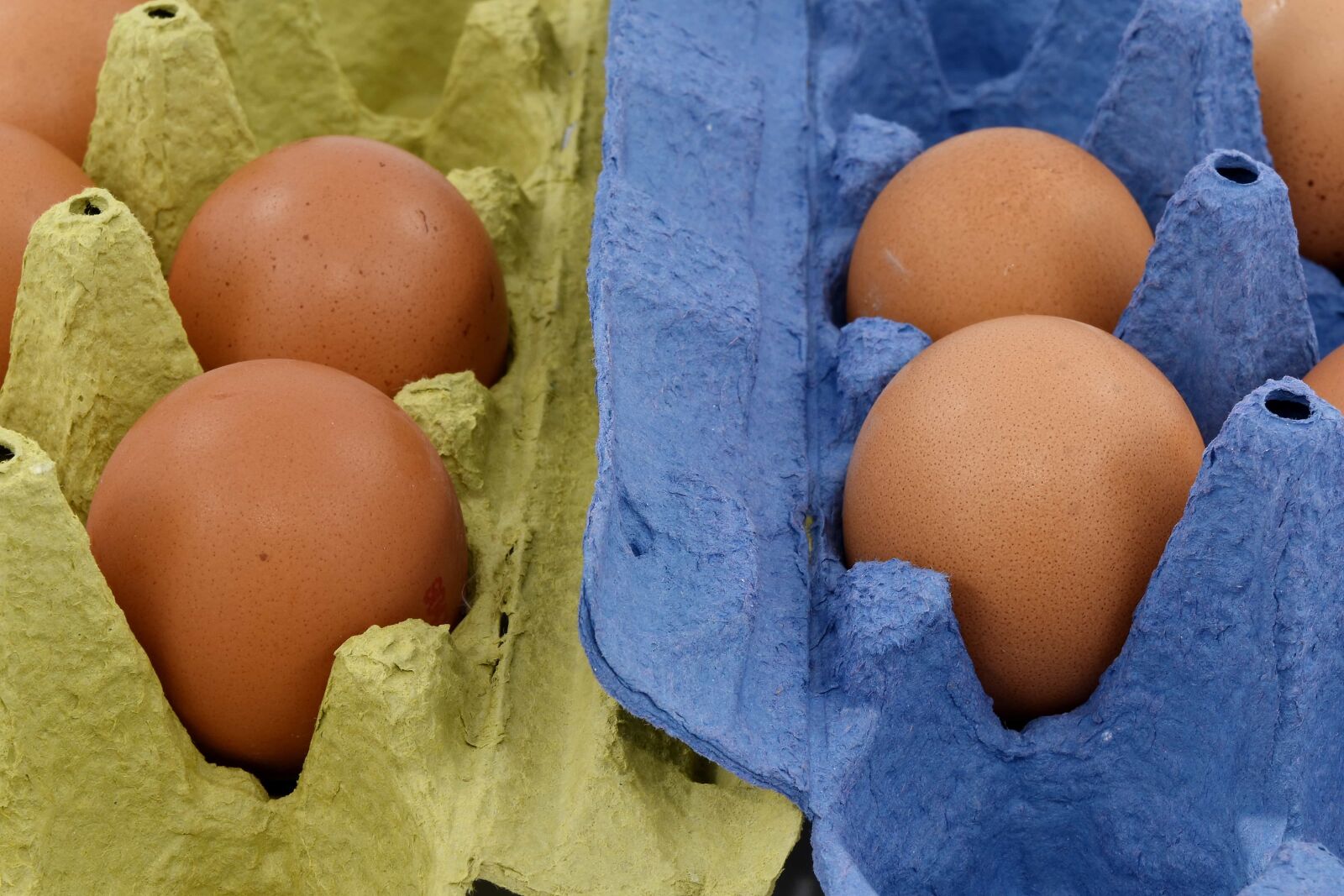 Nikon D5500 sample photo. Box, carton, egg box photography