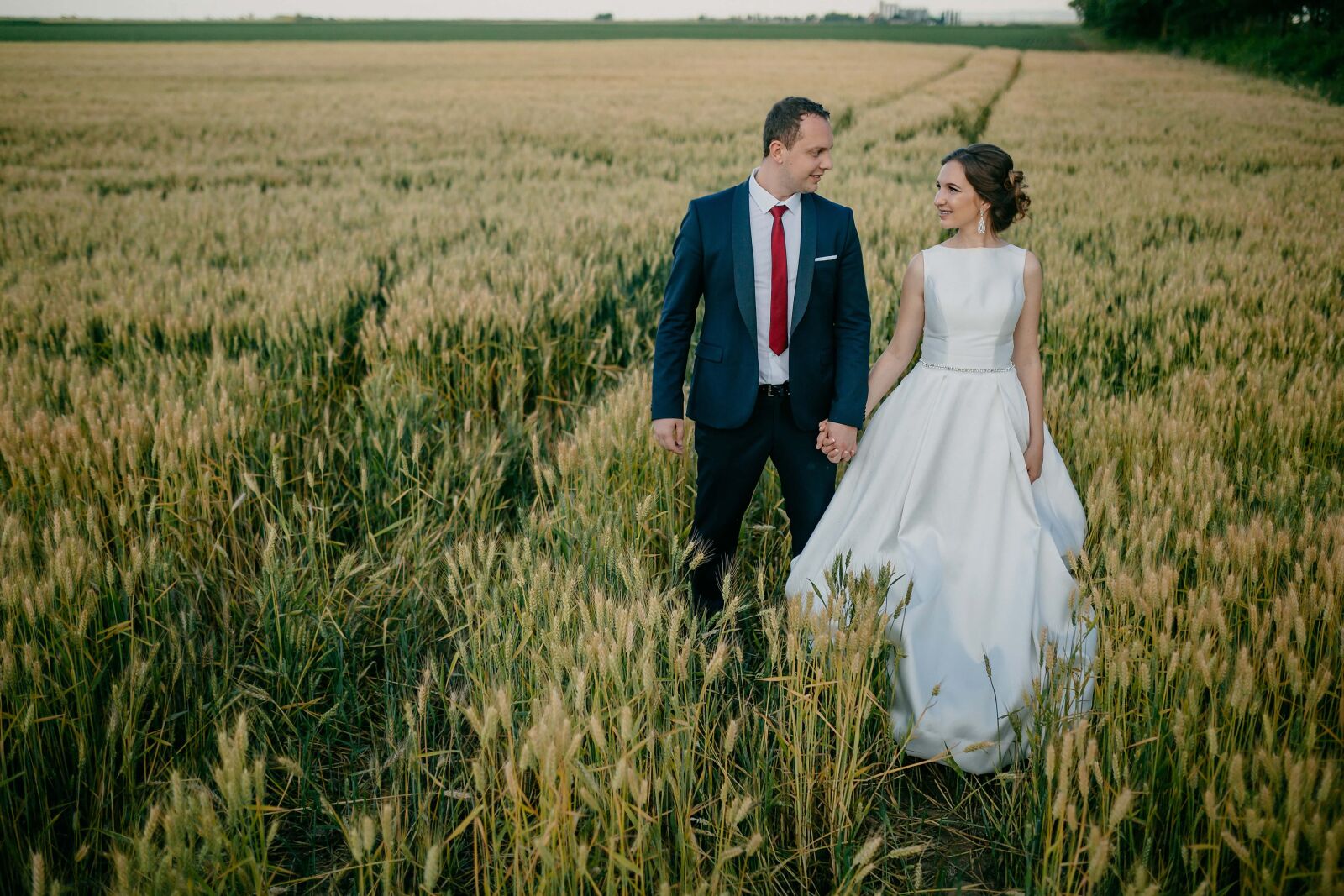 Sigma 35mm F1.4 DG HSM Art sample photo. Field, agriculture, groom, wheatfield photography