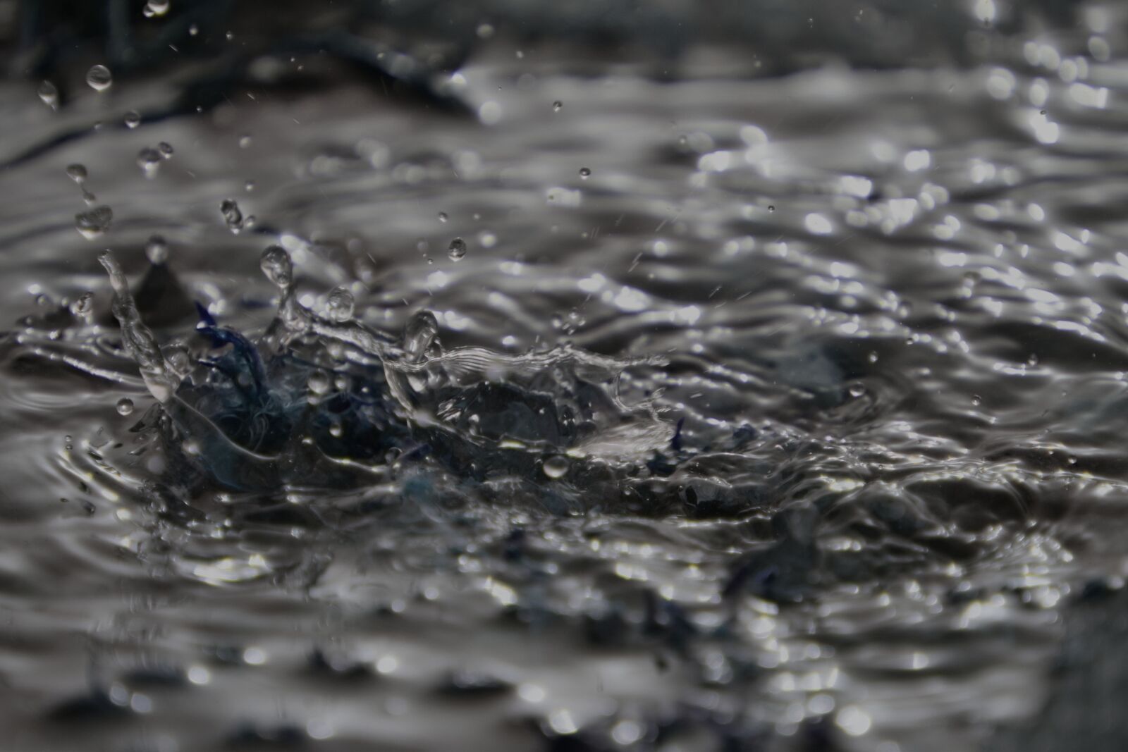 Nikon D5300 sample photo. Wet, water, reflection photography