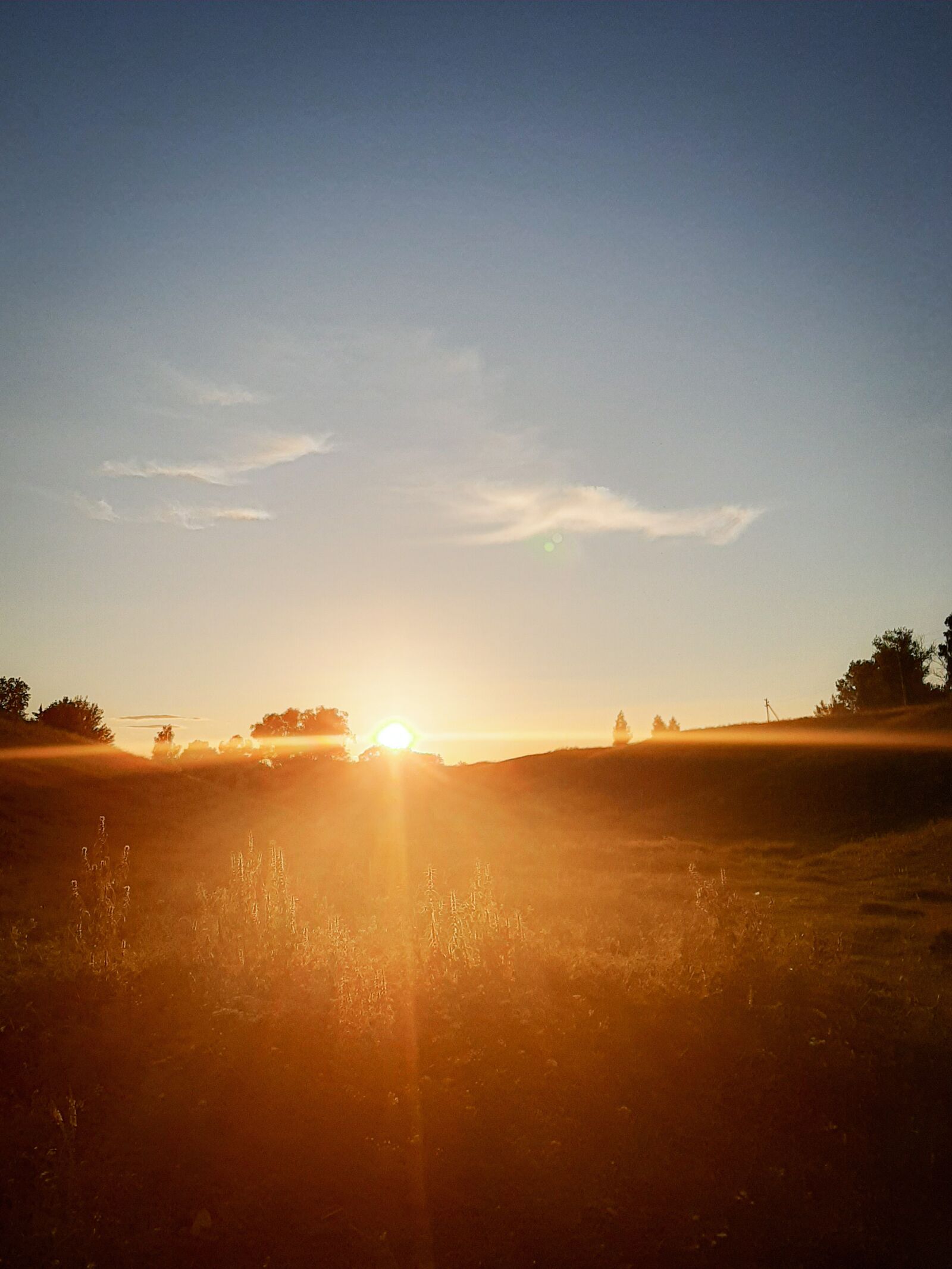 Samsung Galaxy A50 sample photo. Sunset, nature, field photography