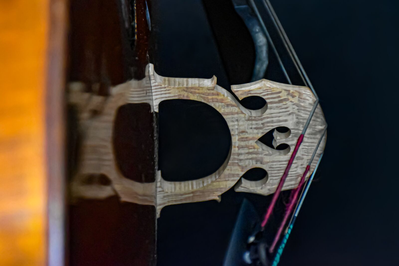 Nikon D5600 sample photo. Cello, bridge, musical photography