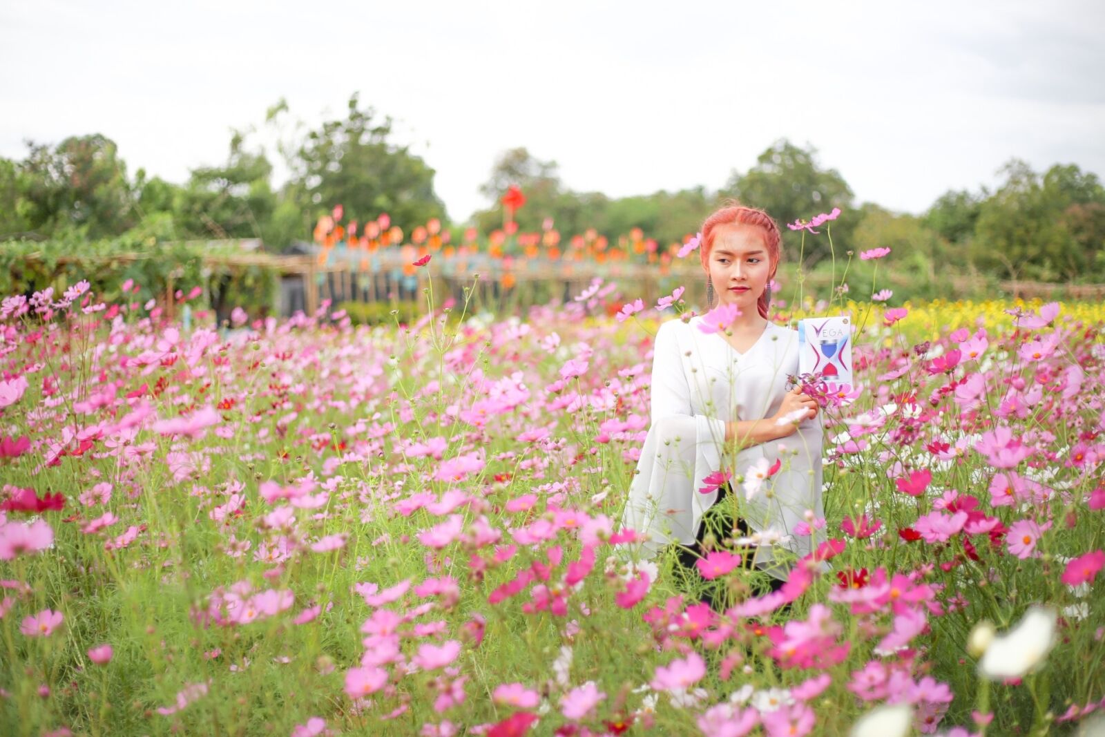 Canon EOS 6D + Canon EF 50mm F1.8 STM sample photo. Flowers, vega, nature photography