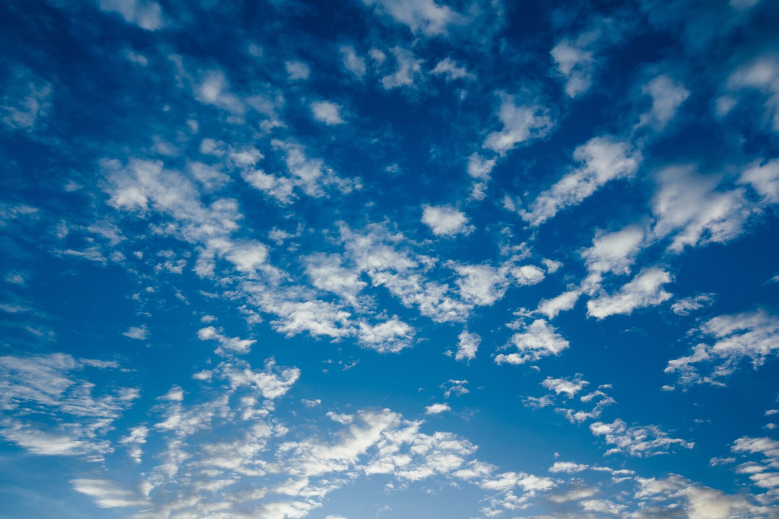Canon EOS 60D sample photo. Sky, background, texture photography