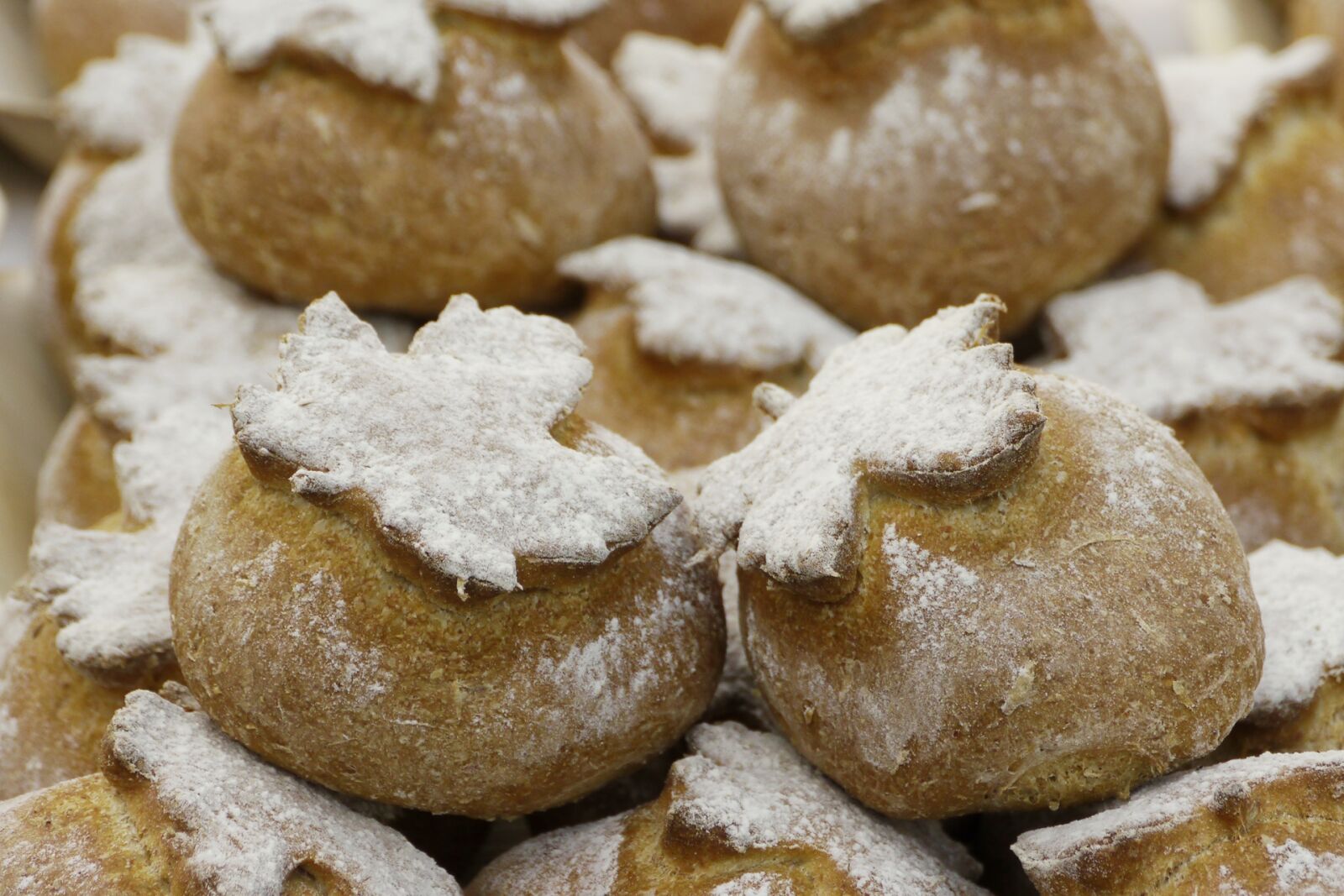 Panasonic Lumix DMC-GH2 sample photo. Bread, special bread, baked photography