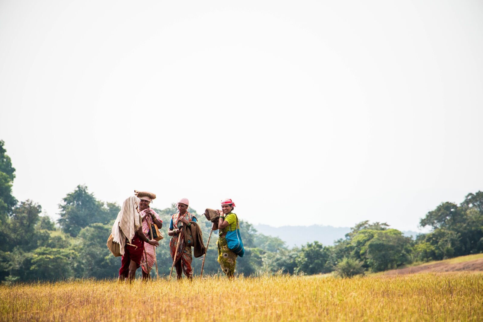 Canon EOS 70D sample photo. Countryside, dramatic, india, mothernature photography