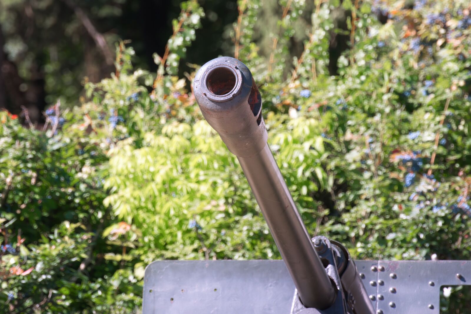 Nikon D5300 sample photo. The pipe, cannon, the photography