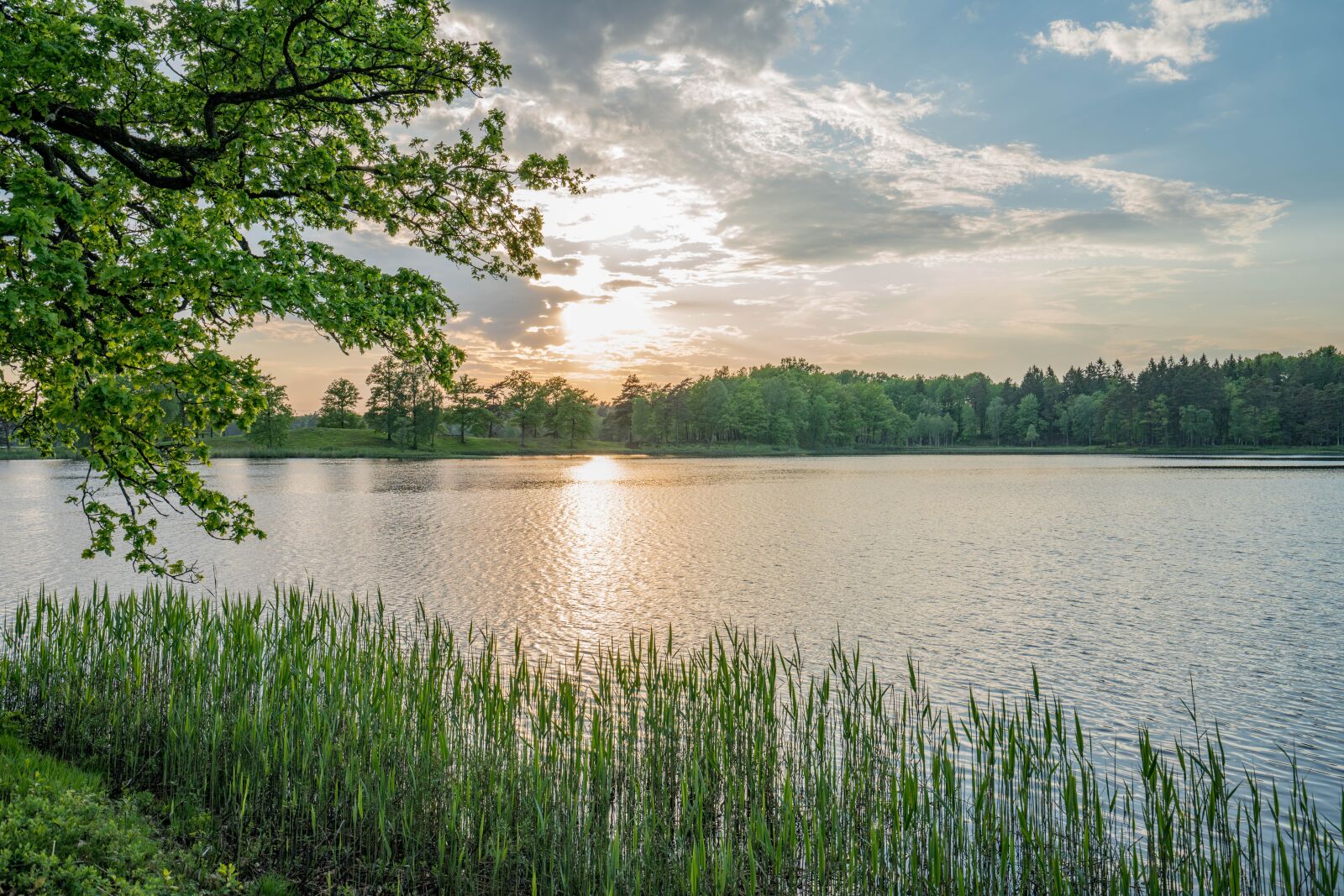Sony Vario-Tessar T* FE 16-35mm F4 ZA OSS sample photo. Sweden, lake, sunset photography