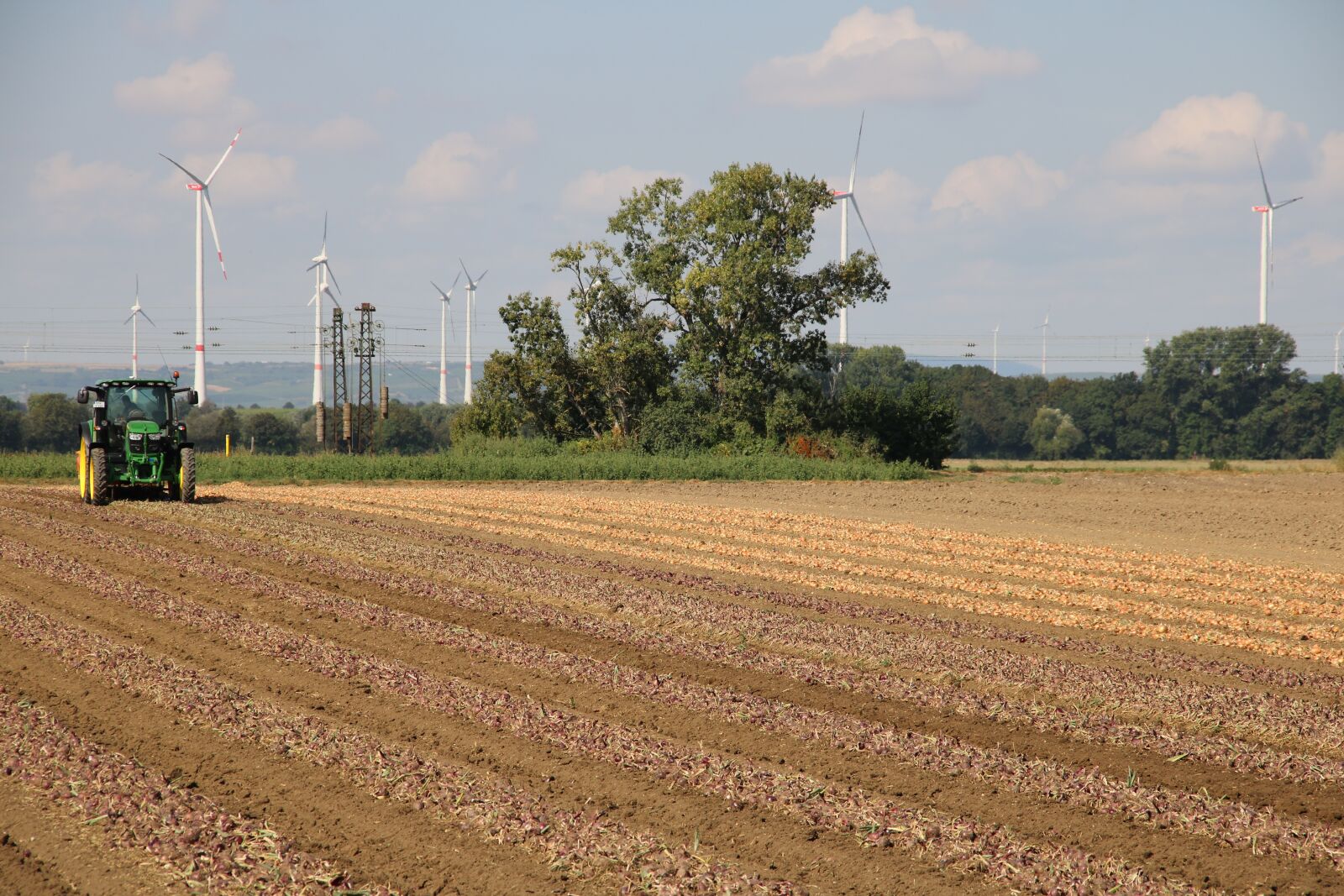 Canon EOS 760D (EOS Rebel T6s / EOS 8000D) sample photo. Bauer, tractor, arable photography
