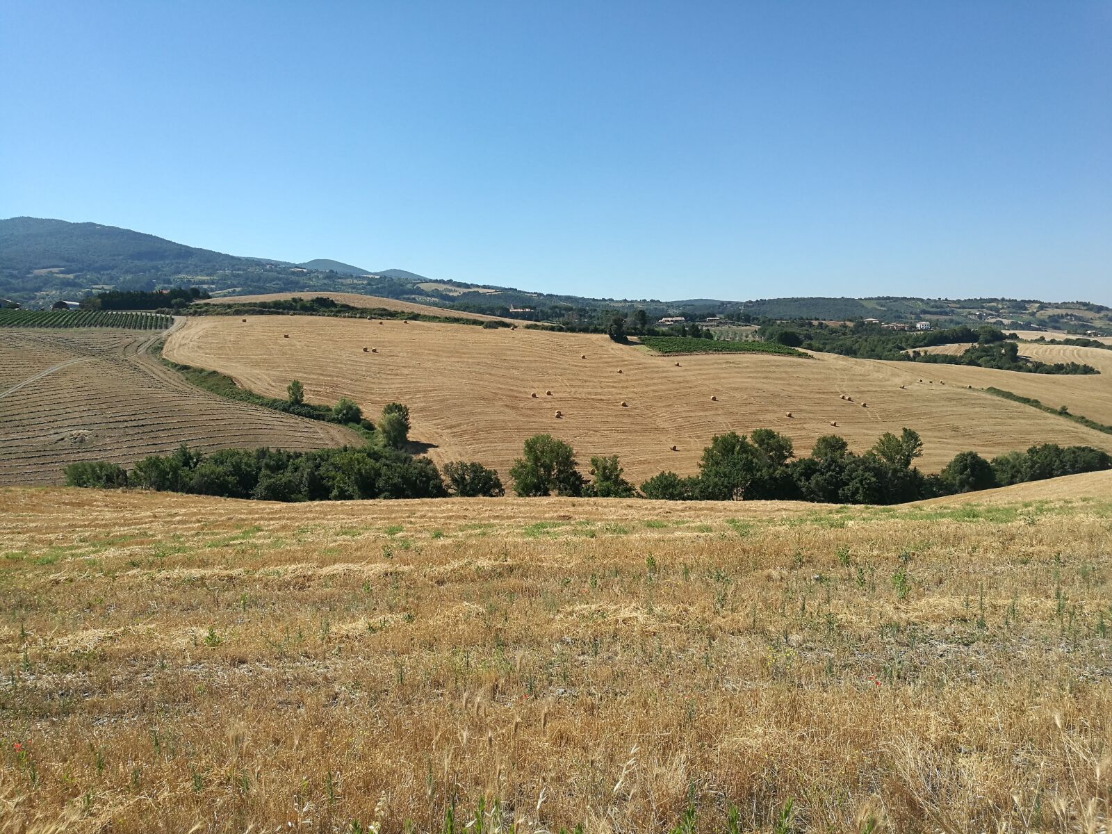 HUAWEI P9 sample photo. Tuscany, country, landscapes photography