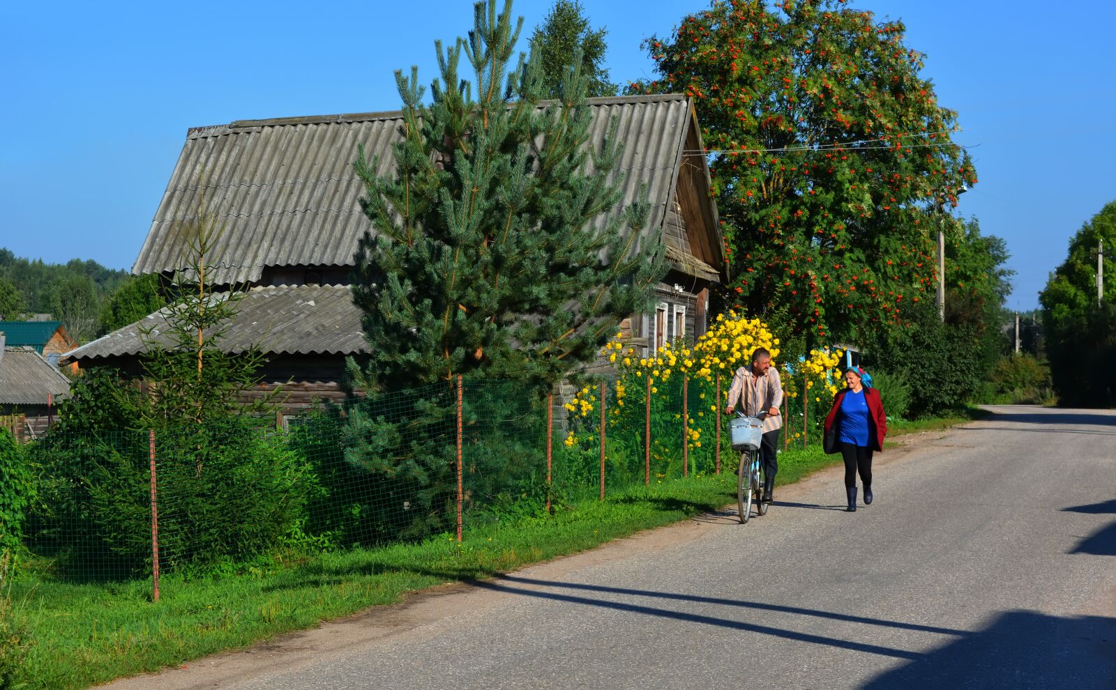 Nikon D5200 sample photo. Village, ustreka, lake photography