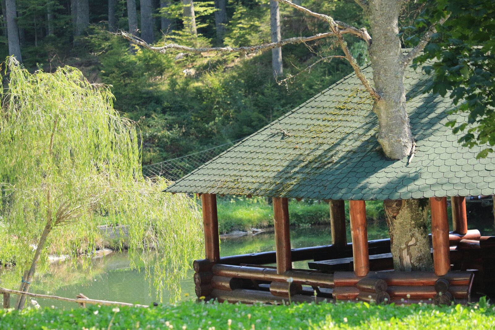 Canon EOS 700D (EOS Rebel T5i / EOS Kiss X7i) sample photo. Tree, roof, house photography