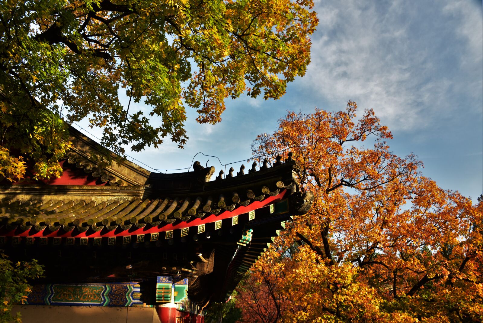 Nikon D810 sample photo. Autumn, ancient architecture, roof photography