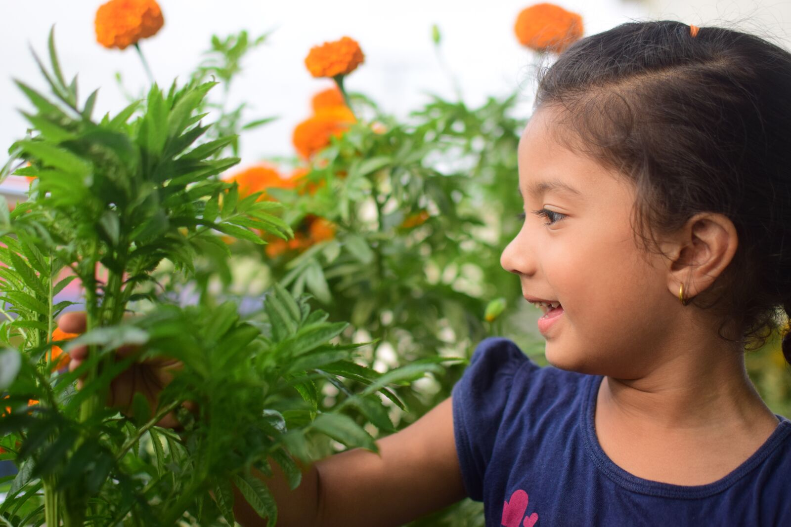 Nikon D5300 sample photo. Flower, child, kid photography