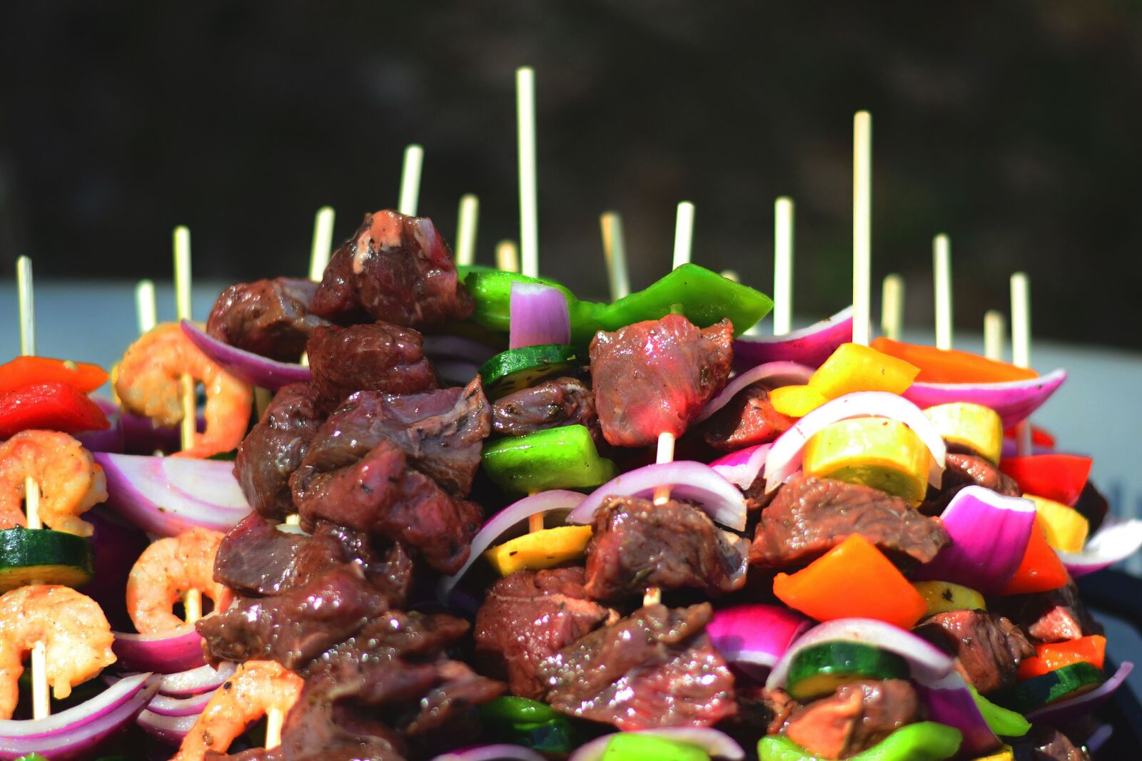Nikon D3100 sample photo. Kabobs, barbecue, bbq photography