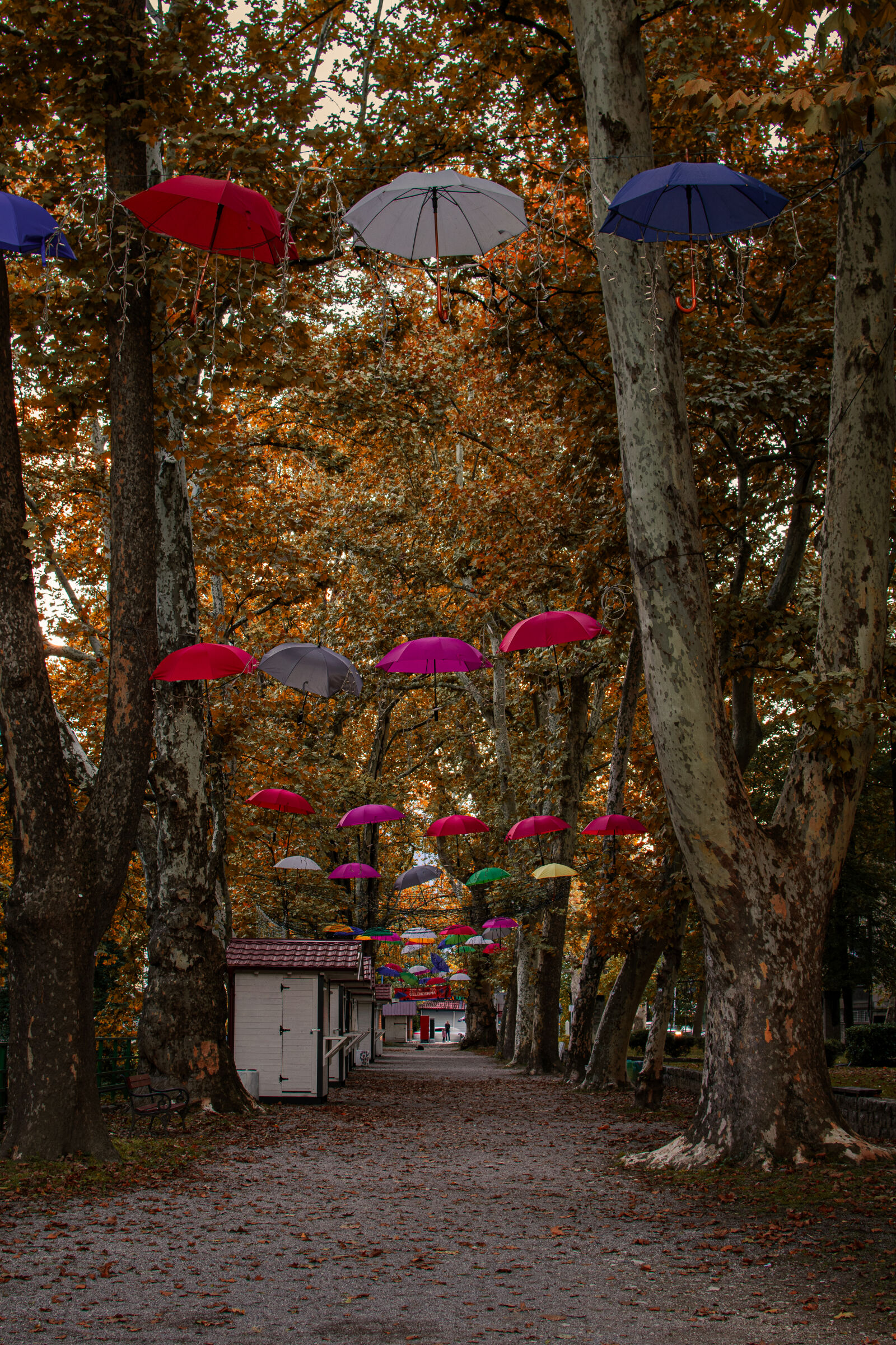 Nikon D3300 sample photo