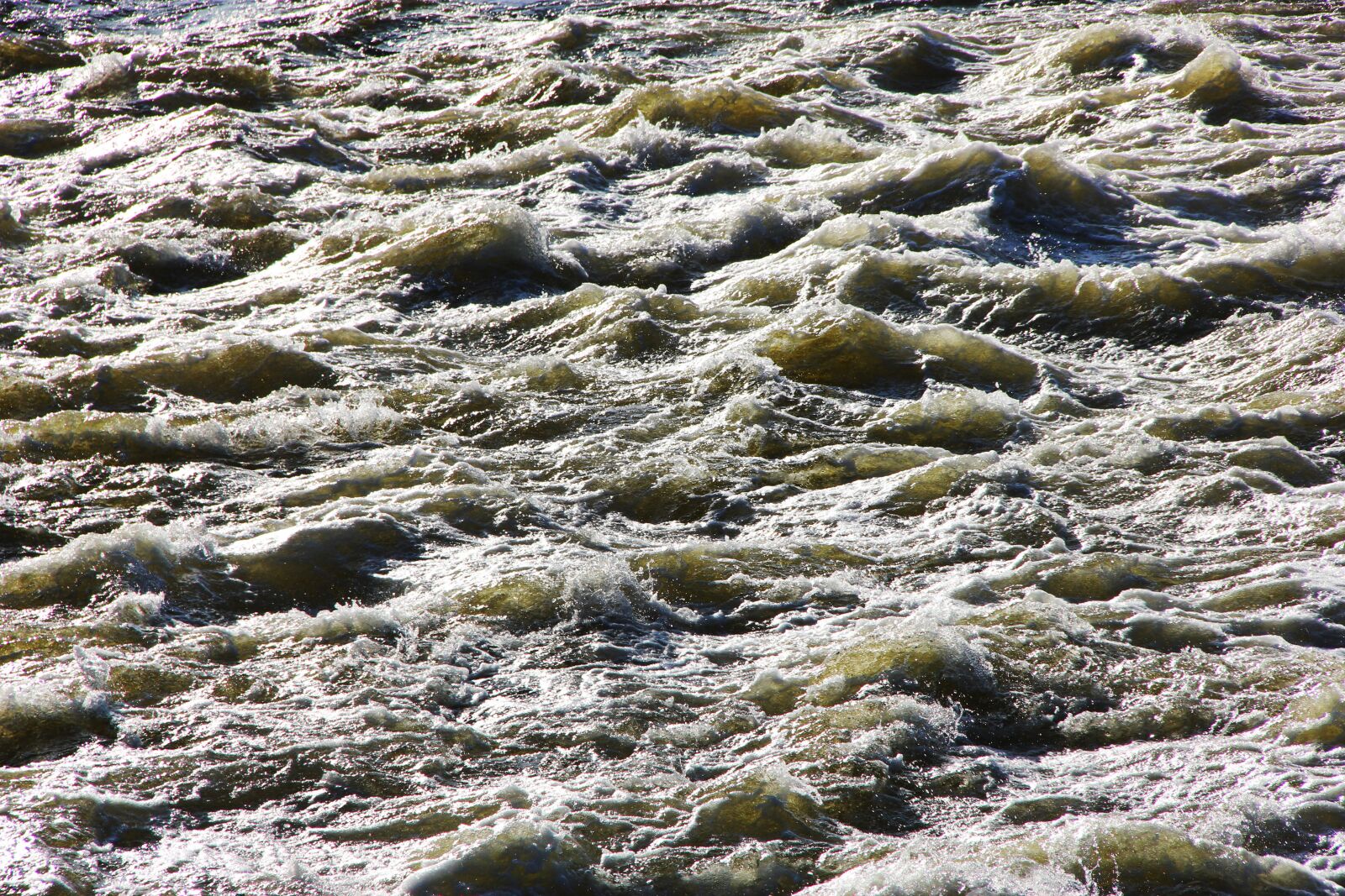 Canon EOS 550D (EOS Rebel T2i / EOS Kiss X4) sample photo. Water, river, nature photography