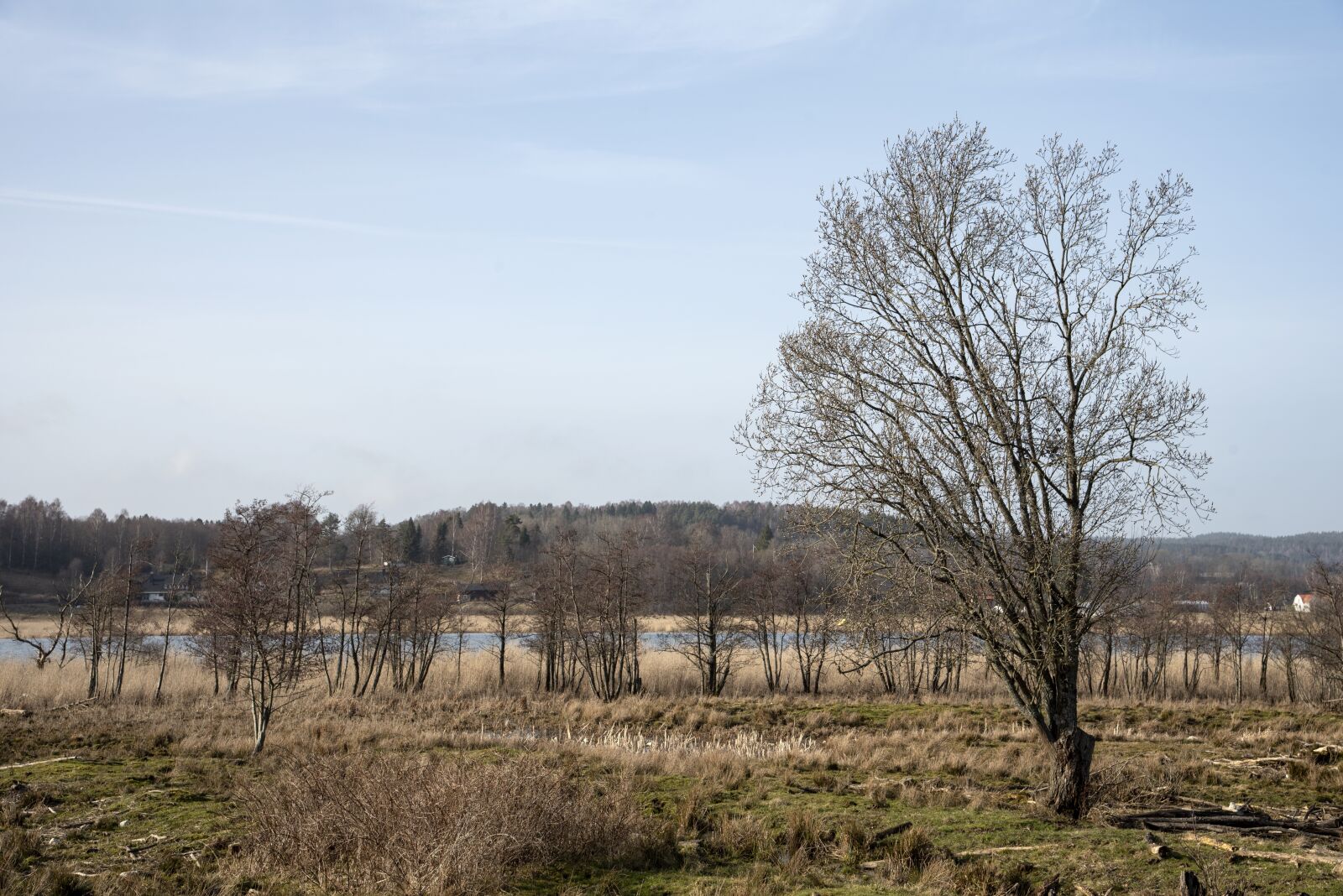 Nikon D750 sample photo. Landscapes, sweden, nature photography